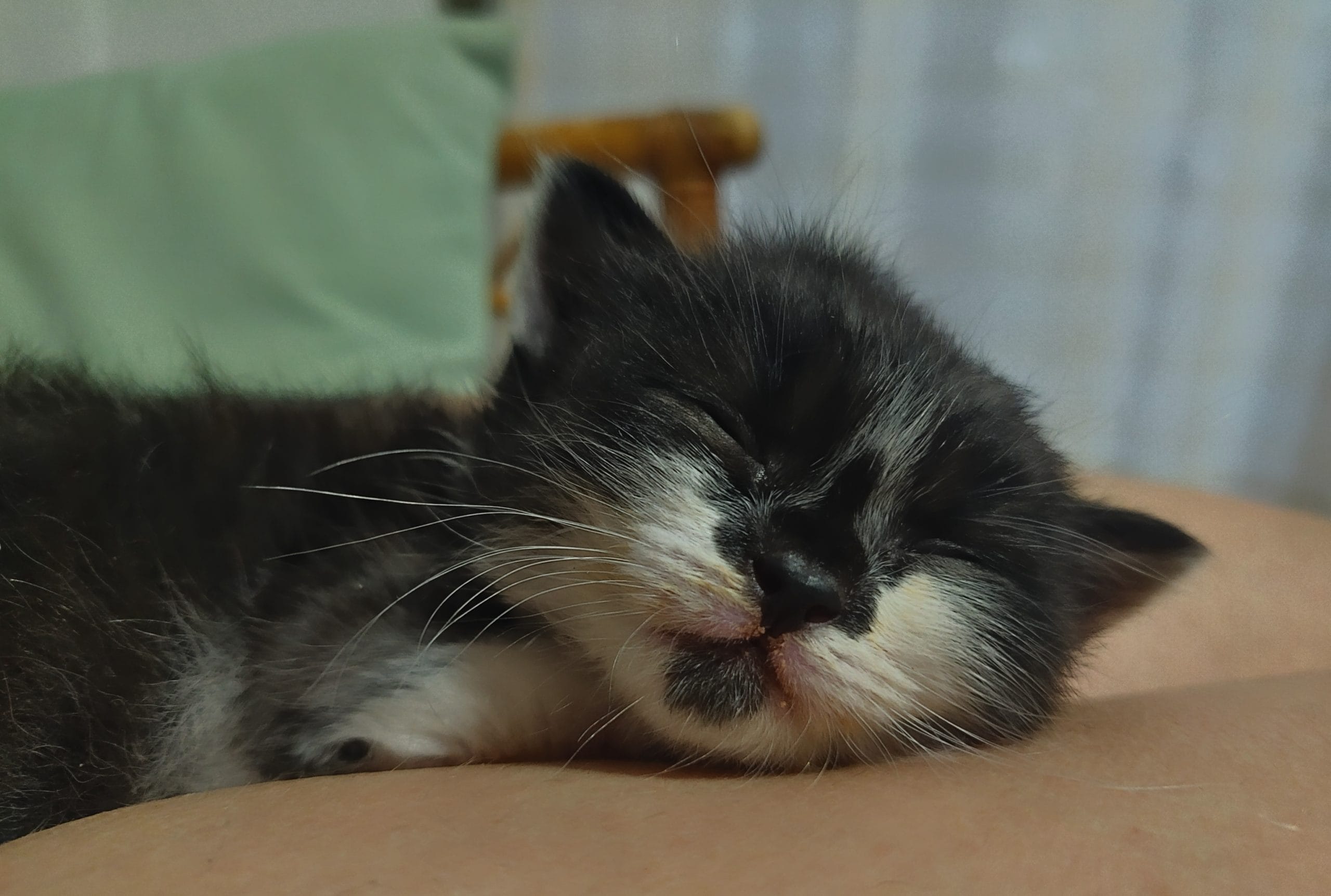 IMG_20230529_194736__01