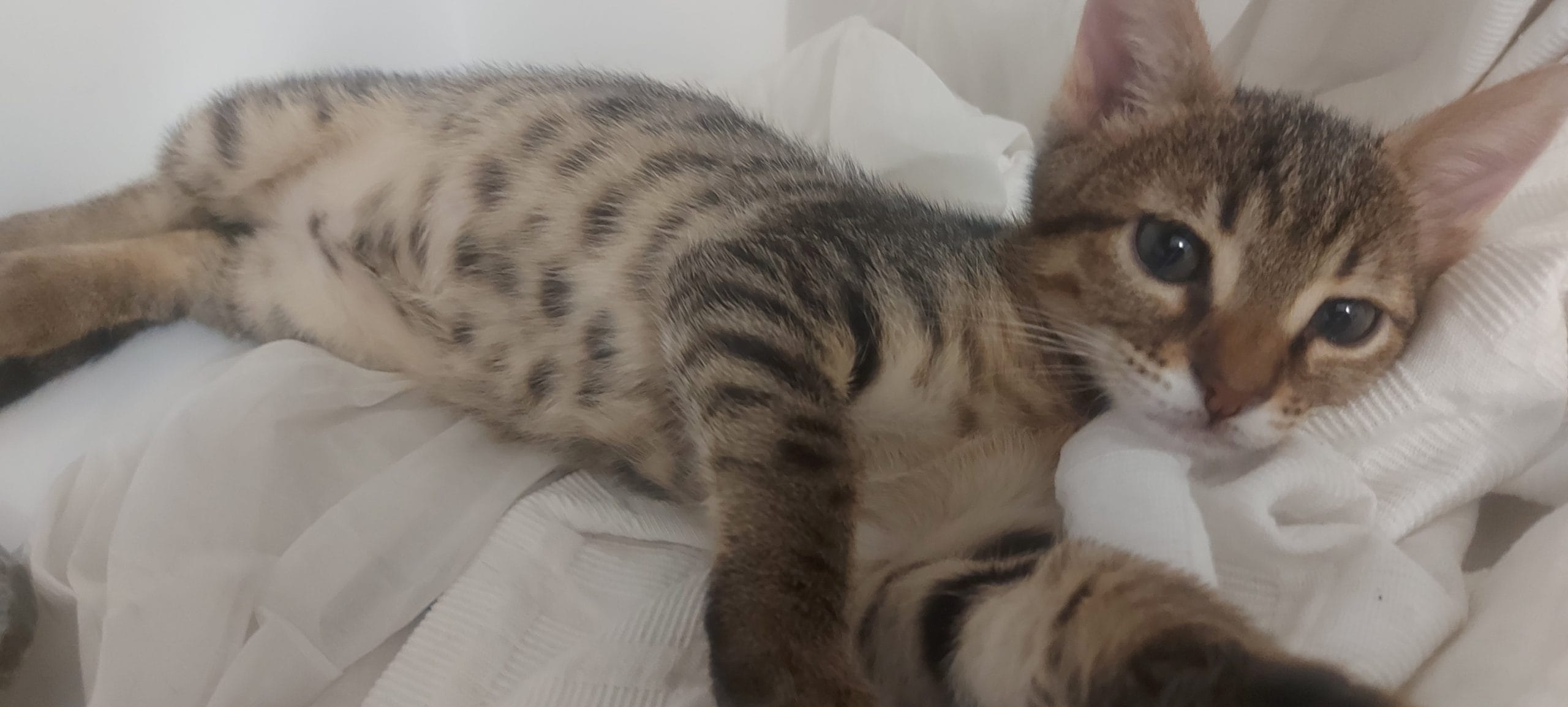 inbound6238998610772322680