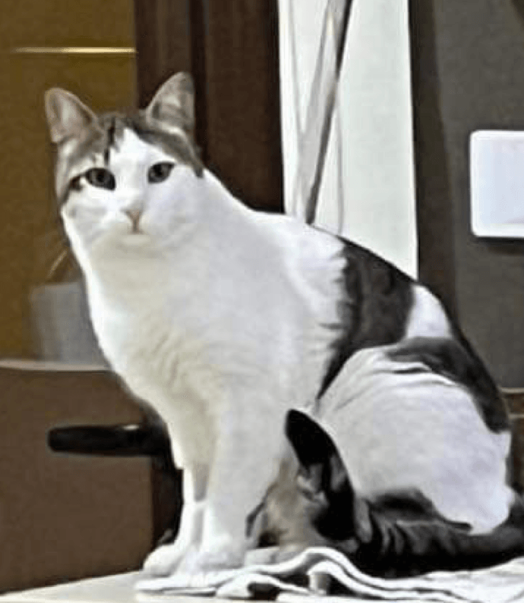 received_793078465763573