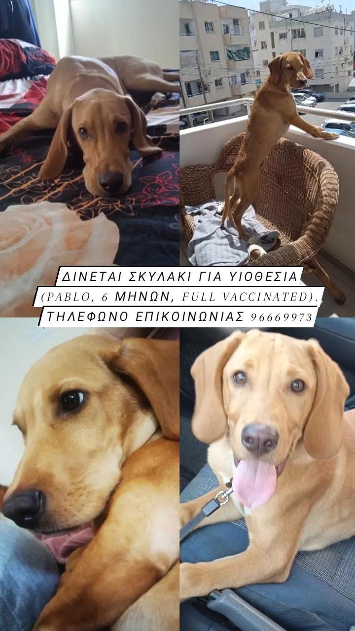 269FF0A1-12CA-4BAE-80D6-1913BAEA4724