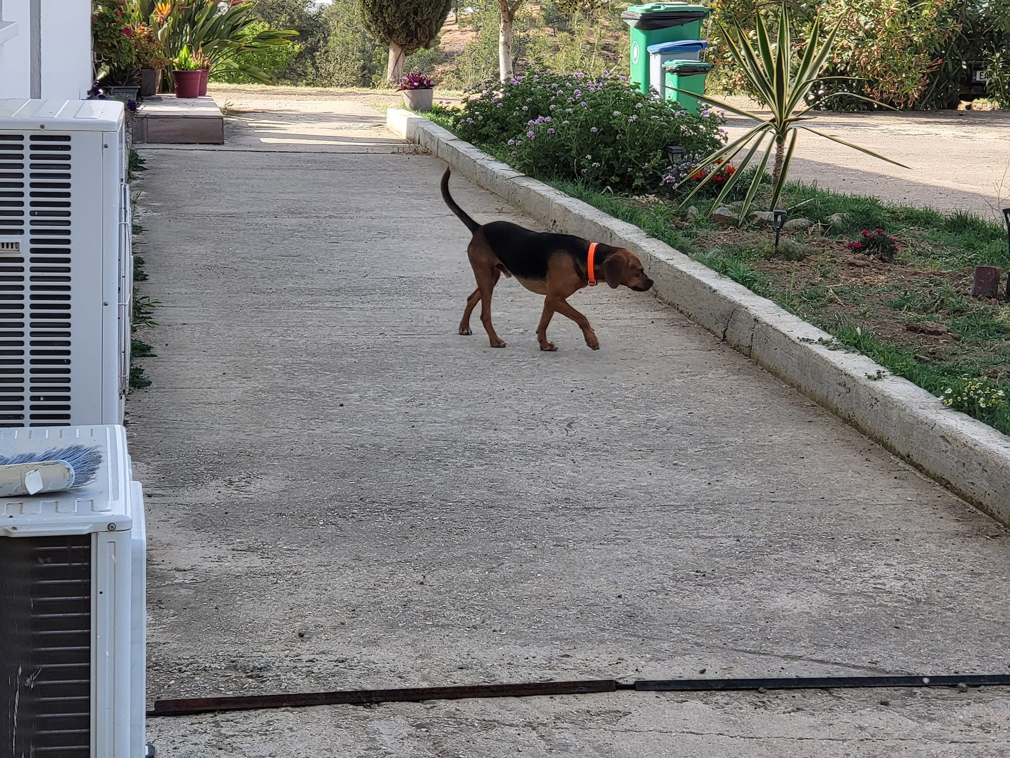 363741288_10159530161722963_1035246218927810755_n