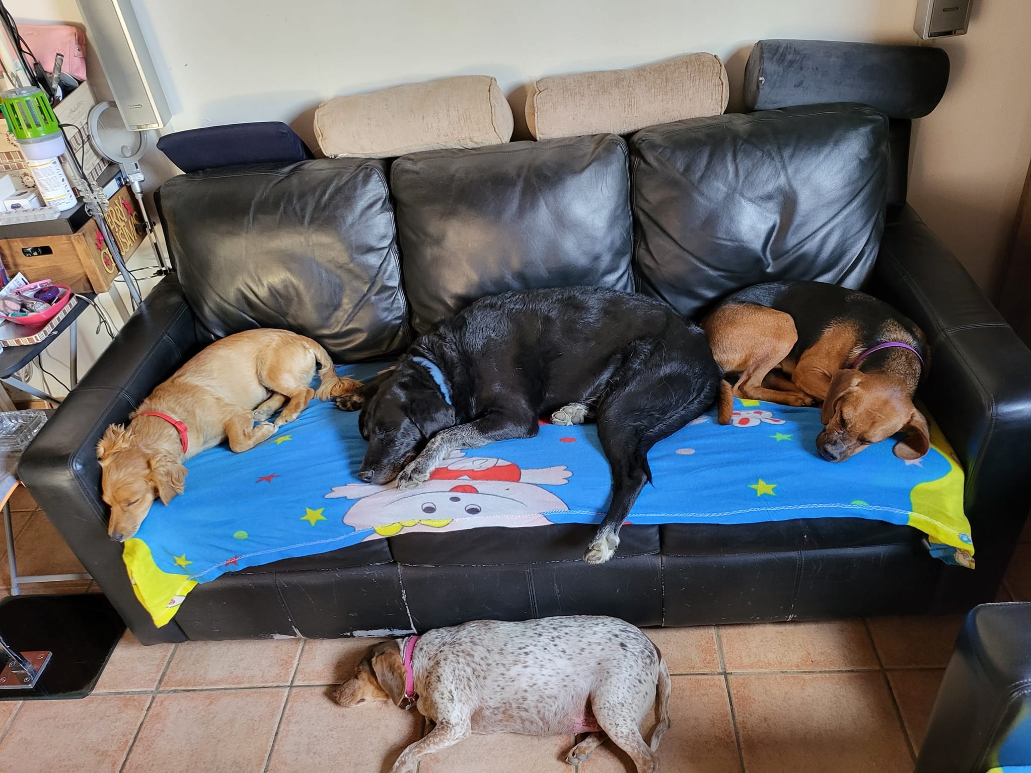 363752609_10159530145017963_4989234106837288877_n