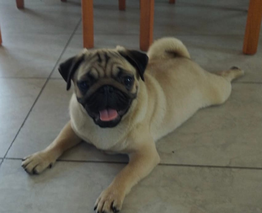 787019F7-F10E-4322-AC32-B96F8CF850FC