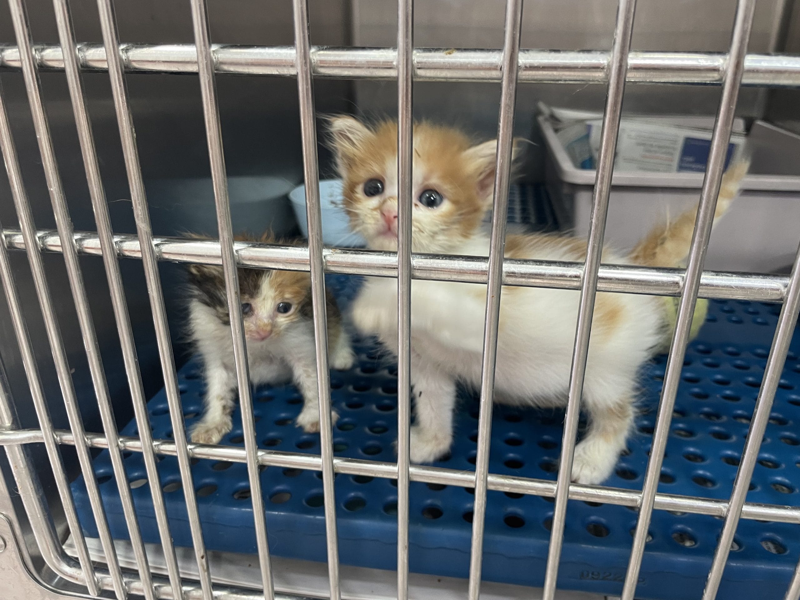 7C1CBF96-BE59-4F44-81B8-8E0741096760