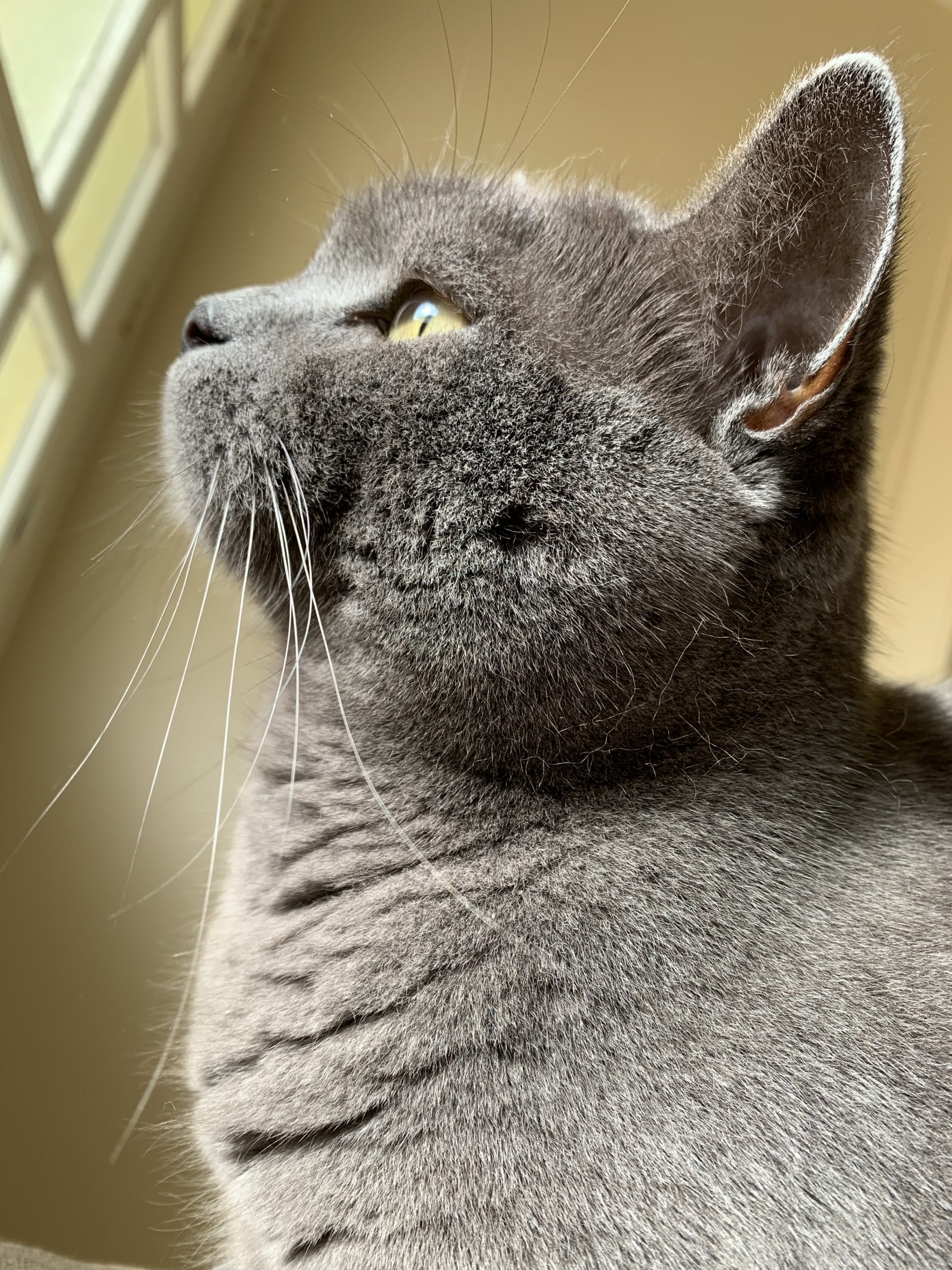 B0DBFFC4-363B-46AD-ABA2-C6DCFBA9CC28