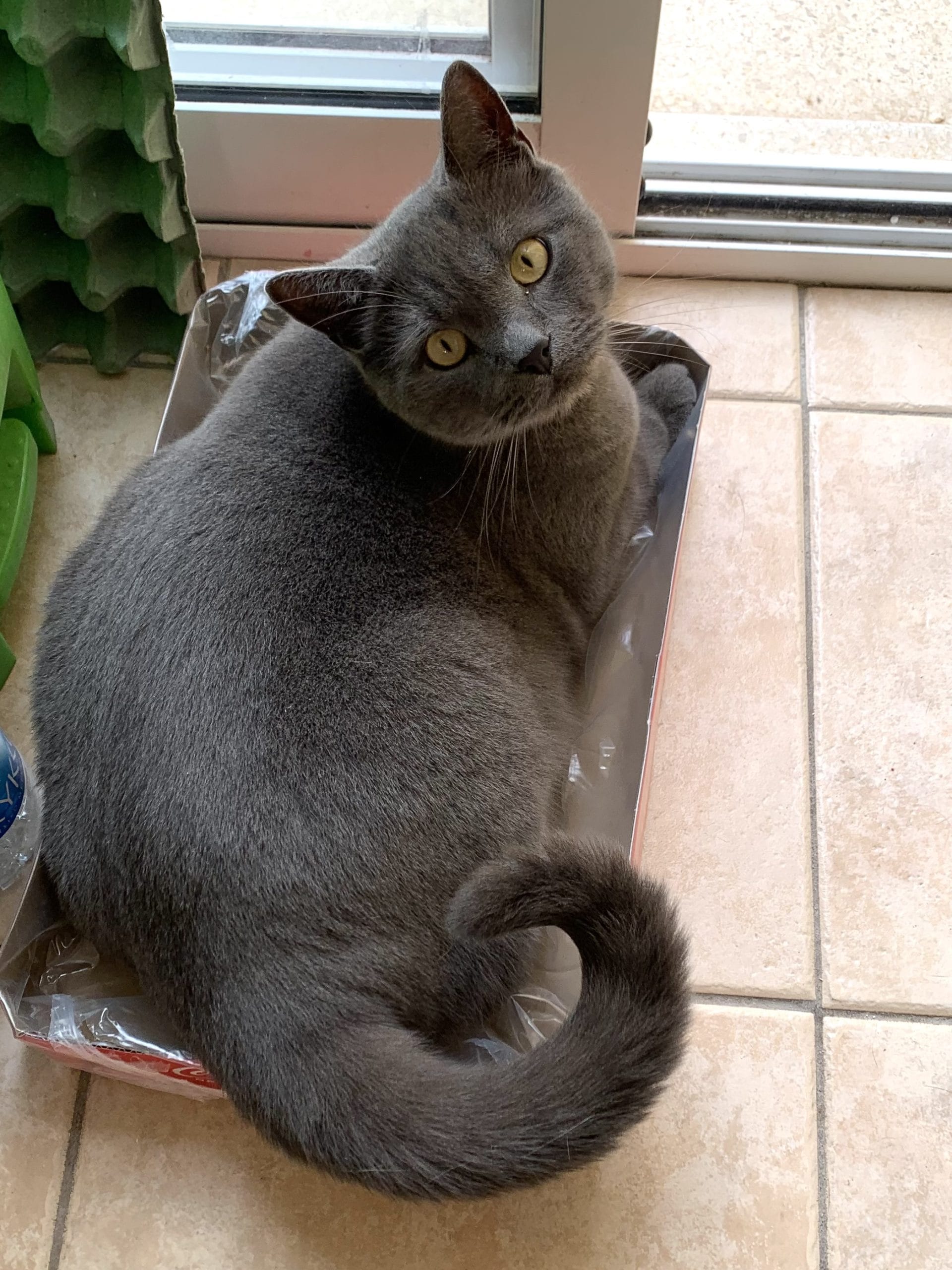 B5E1B3E9-0874-492D-A732-4127D1D8EAEE