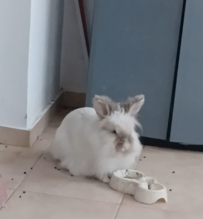 inbound5568905200255090386