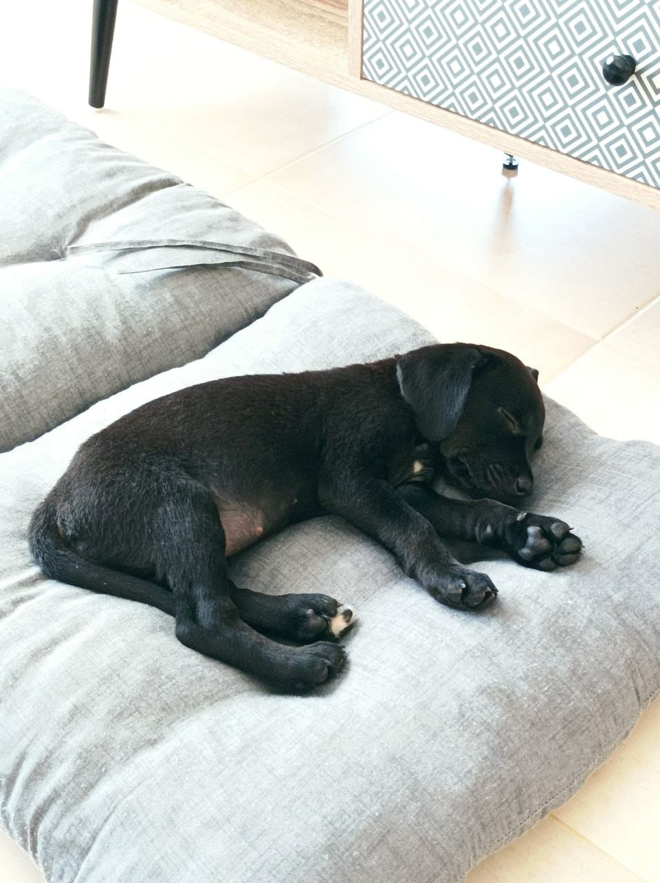 photo_2023-07-06_17-55-39