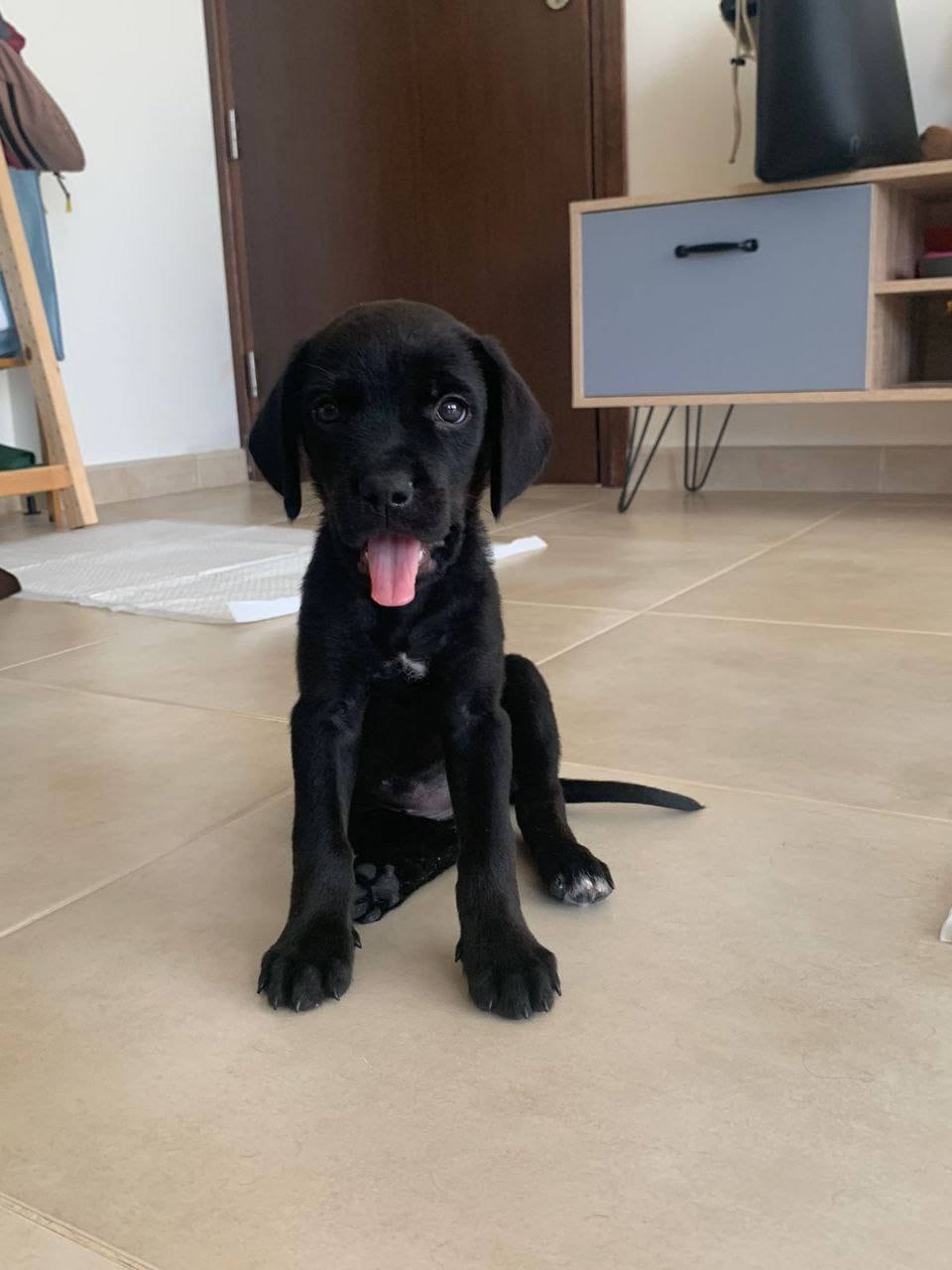 photo_2023-07-06_17-55-42