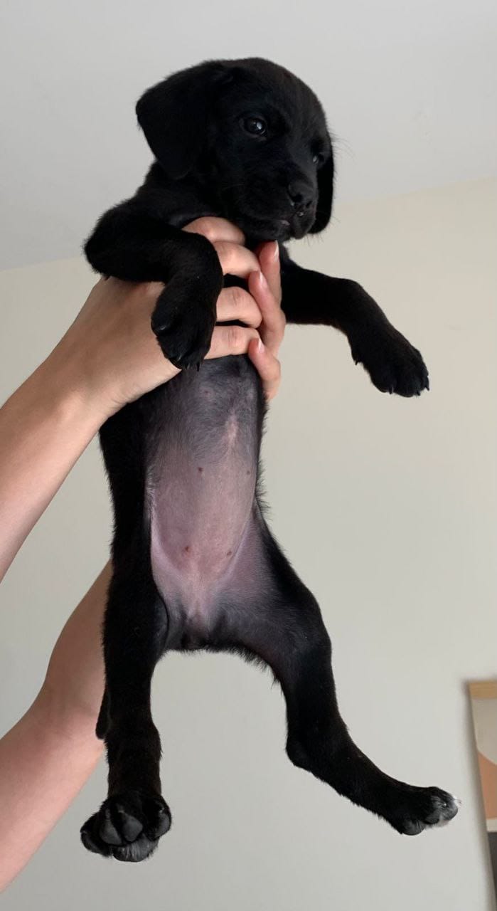 photo_2023-07-06_17-55-45