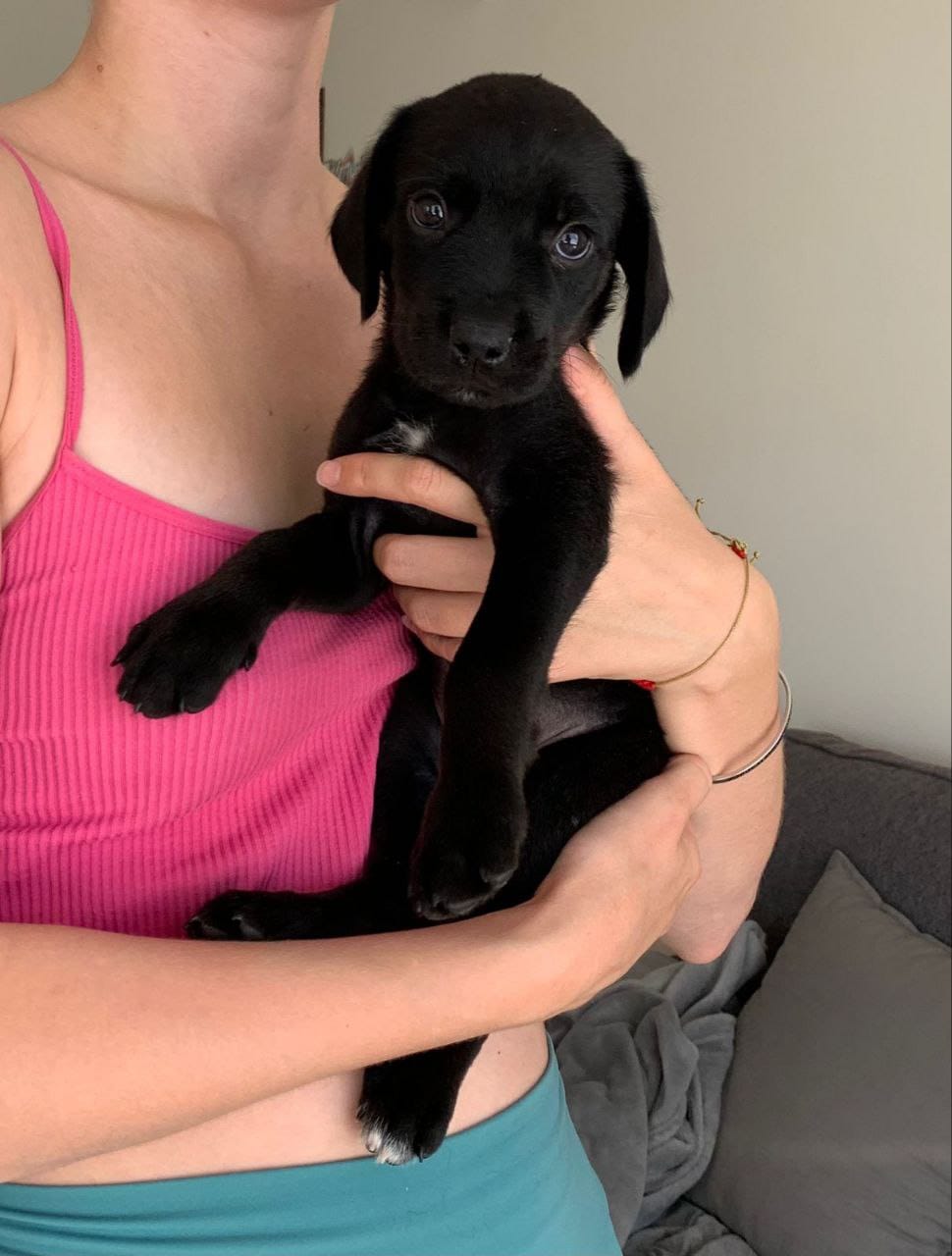 photo_2023-07-06_17-55-55