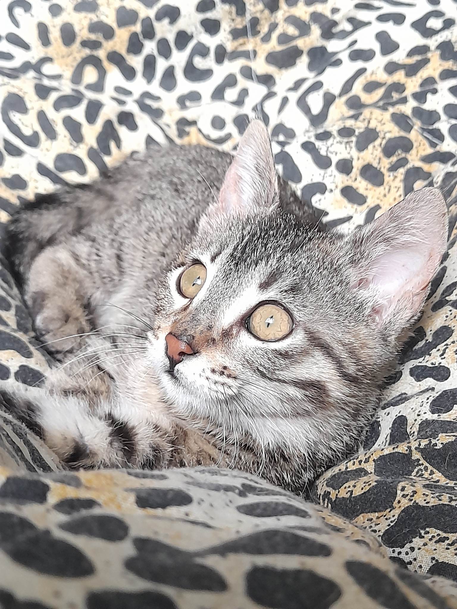 received_184879977317391