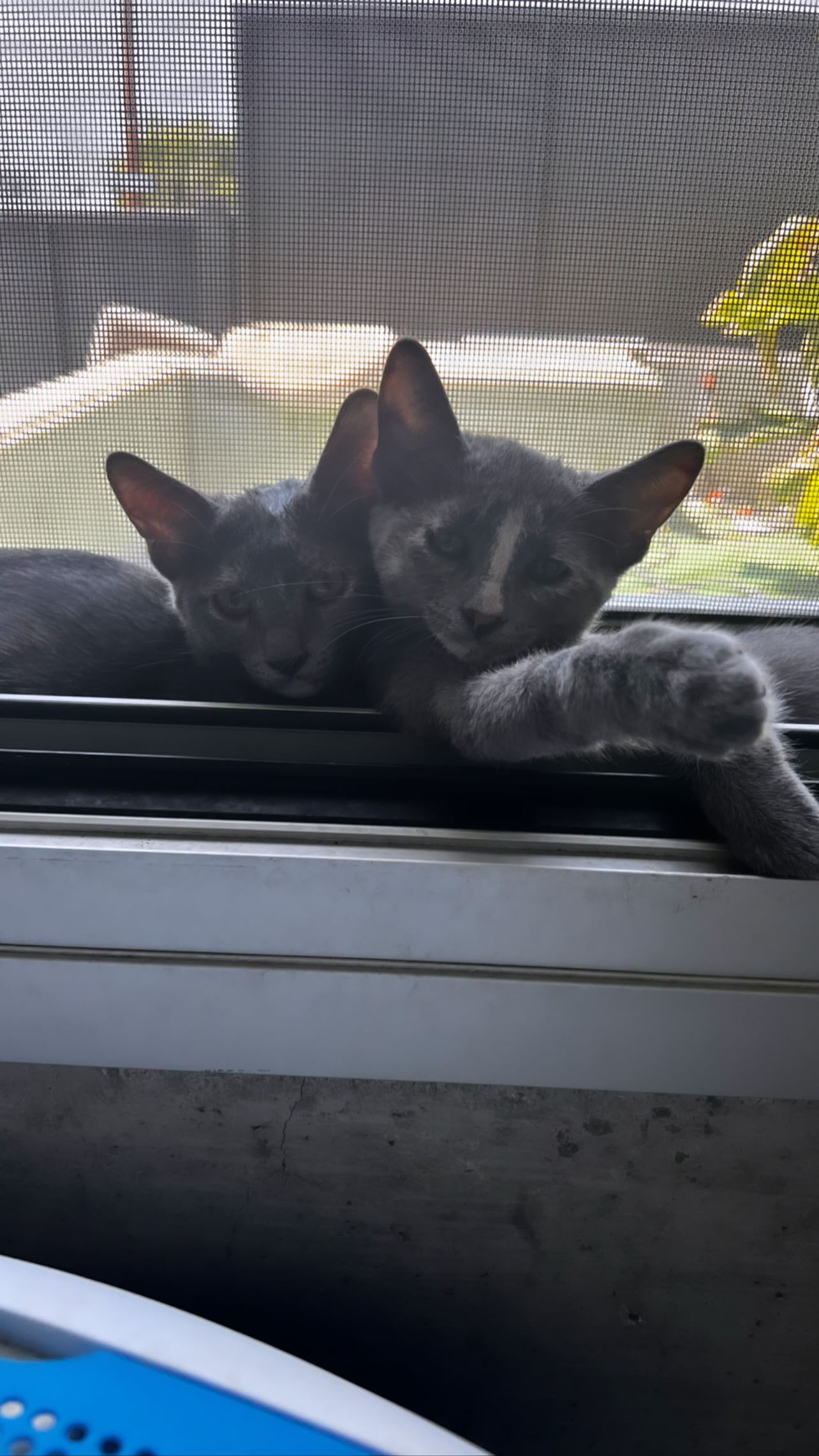 FCCA3DA2-796C-41AE-BD98-AC2FD7943609