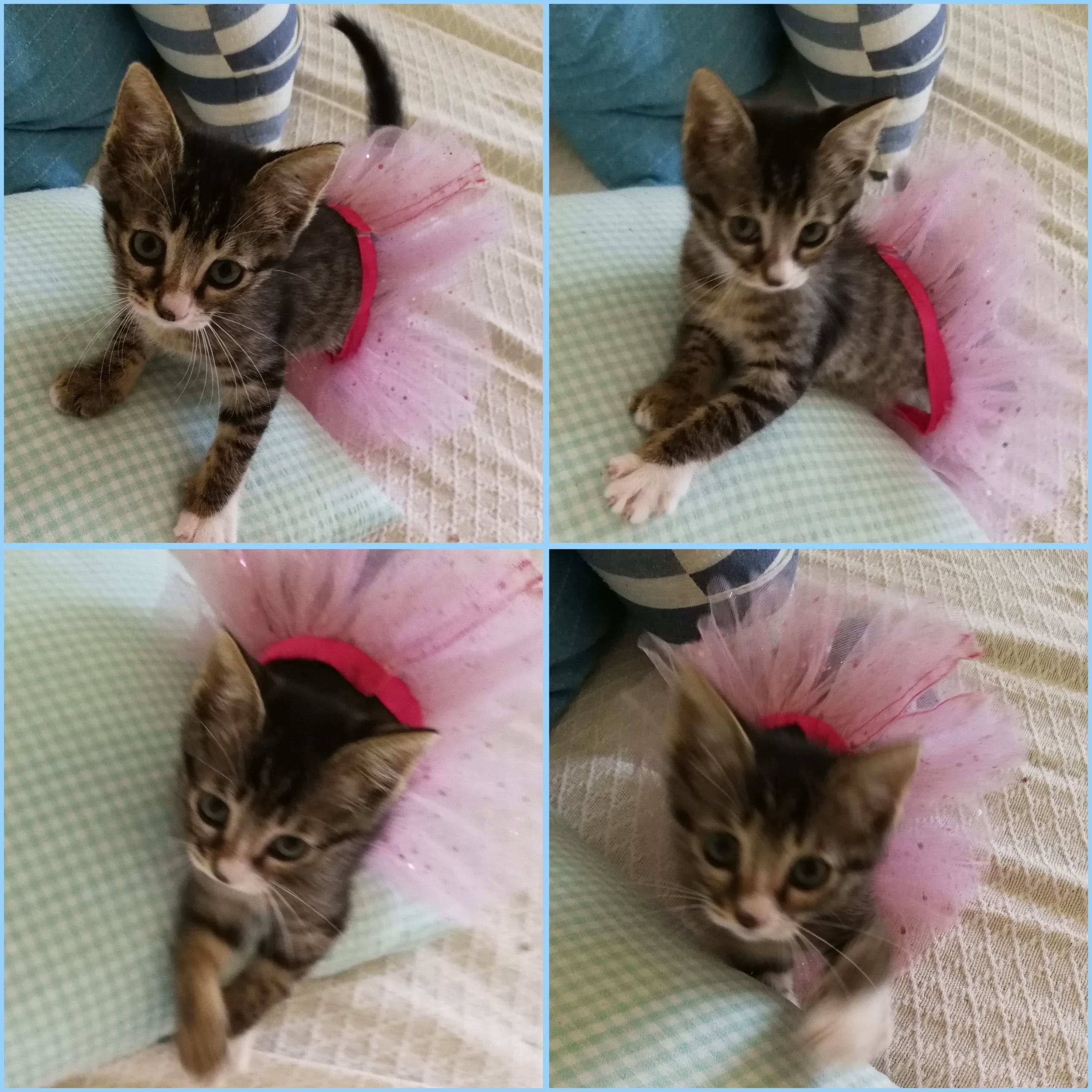 GridArt_20230622_070838894