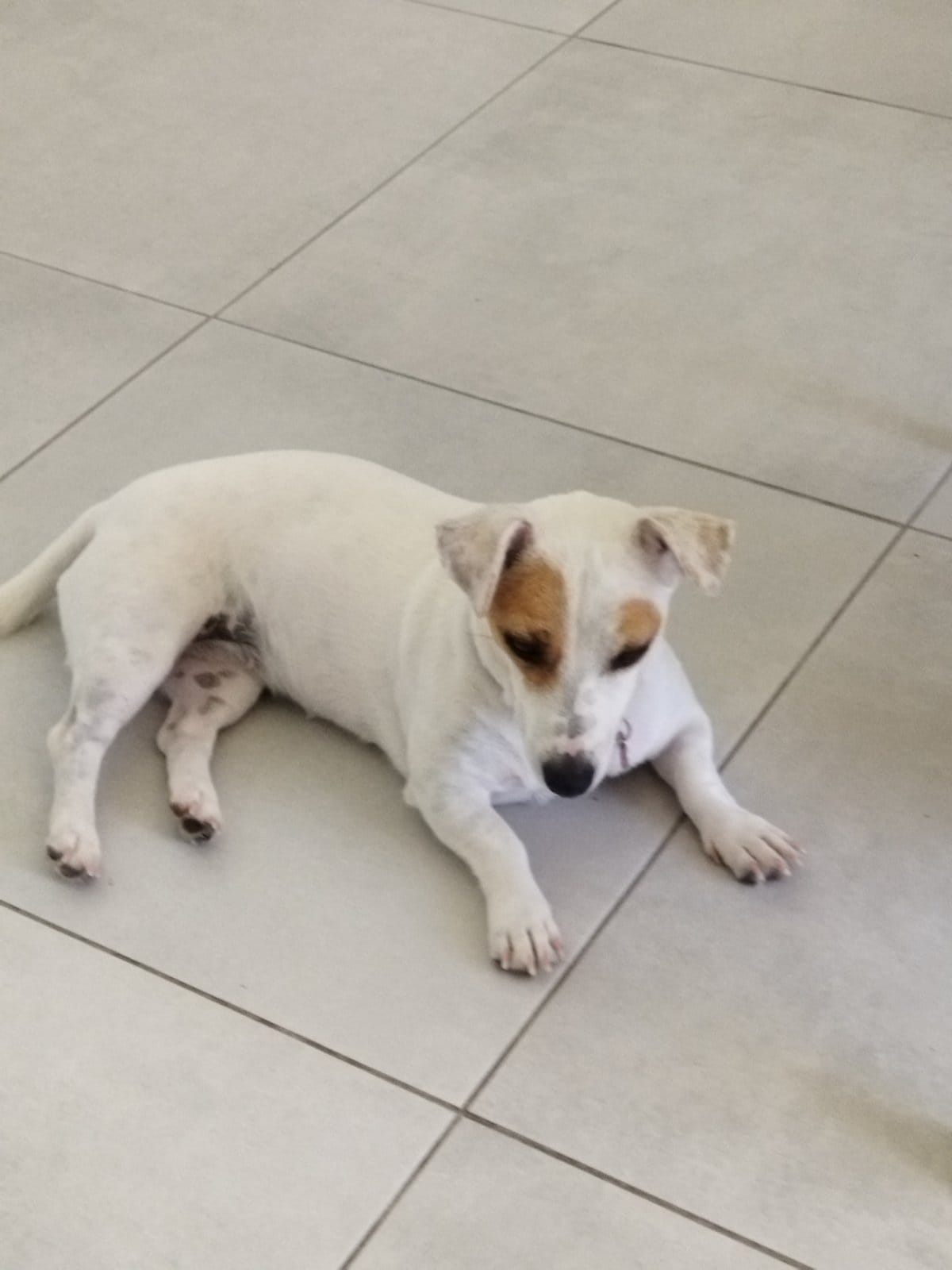 IMG-2c80eff2120176065c9b846e23765ba3-V