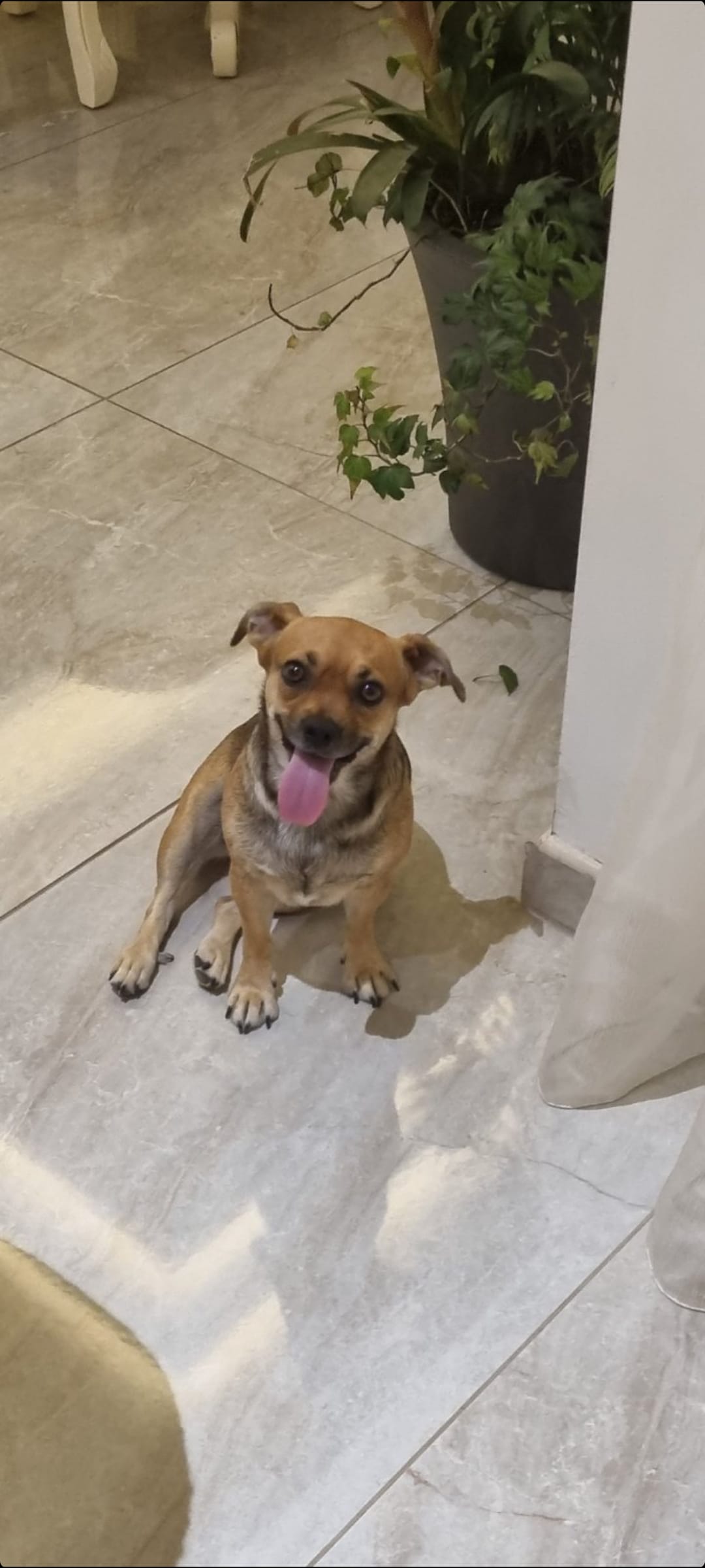 Screenshot_20230806_015646_Gallery