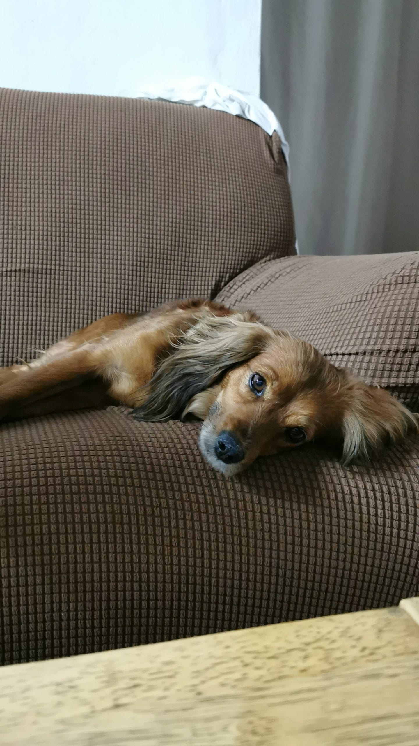 inbound4714916716103255959