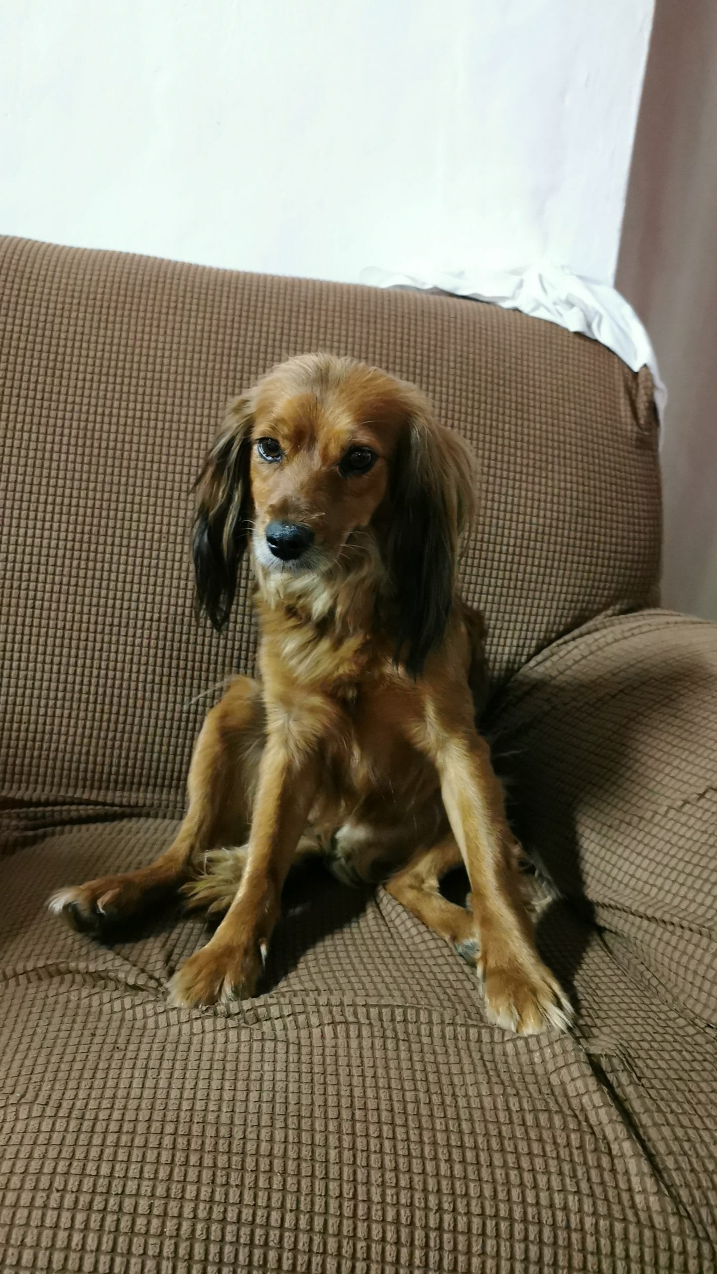 inbound6941300345747162628