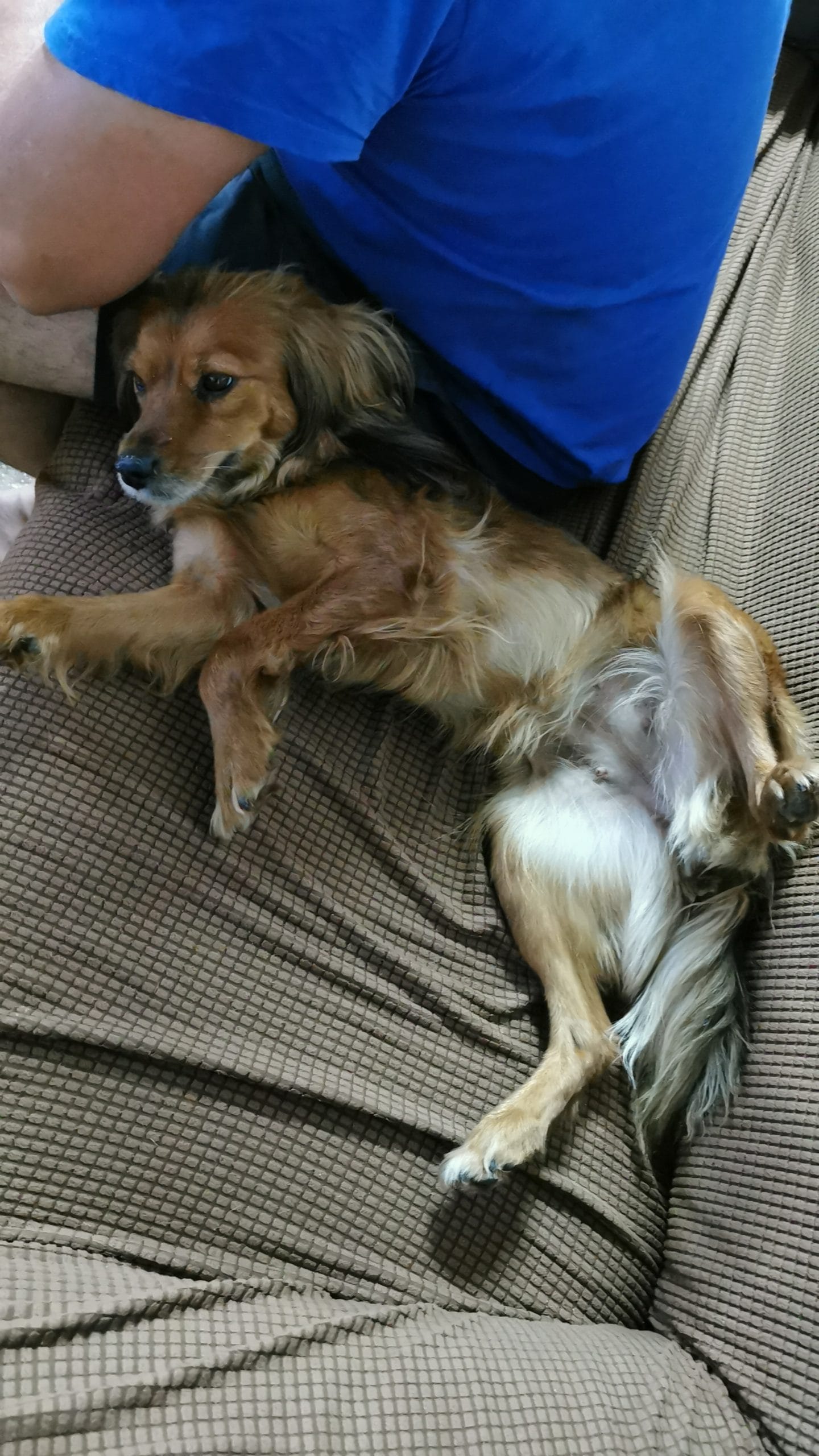 inbound9137830082066069675