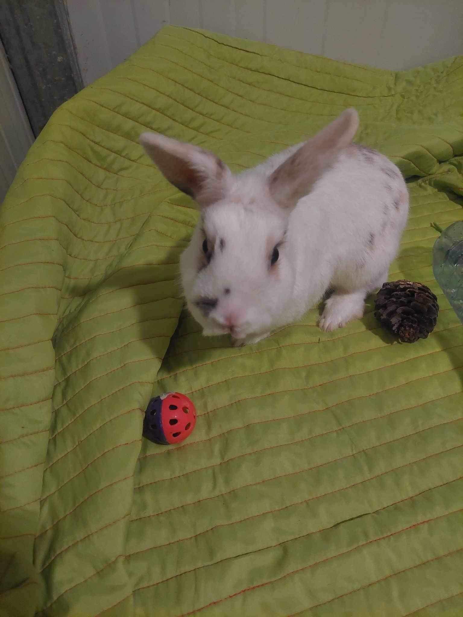 1D834F1A-D021-4B53-9C86-FD60523259D4