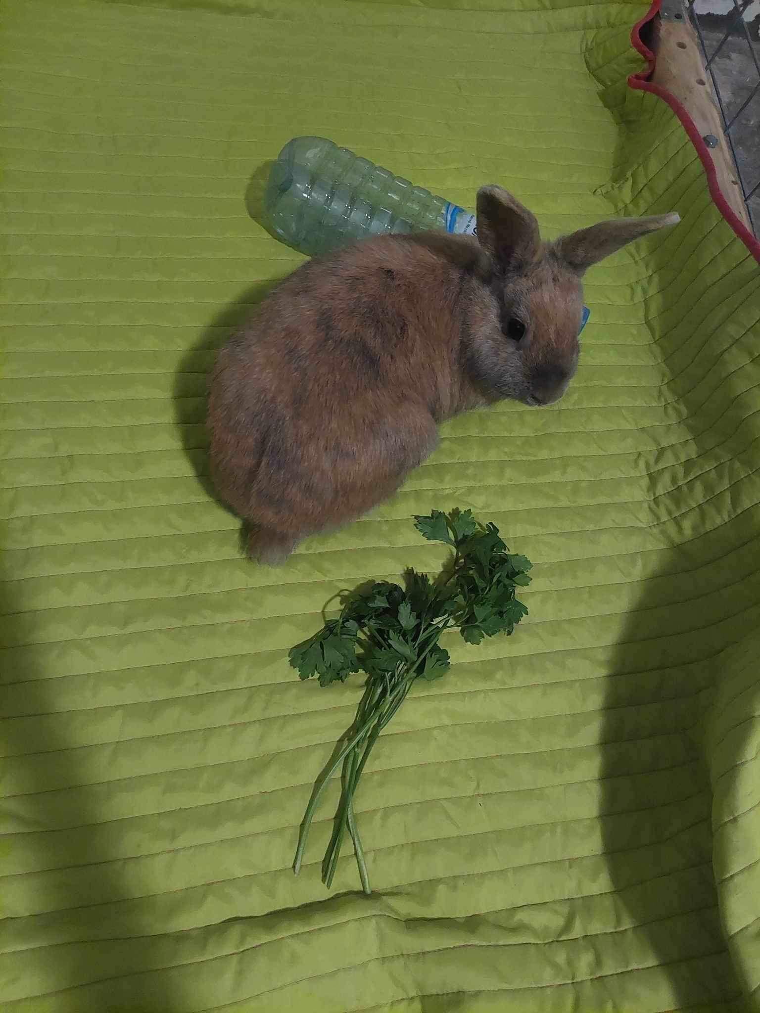 E42BAD0C-A746-4D9D-A2B2-D293E9E7169F