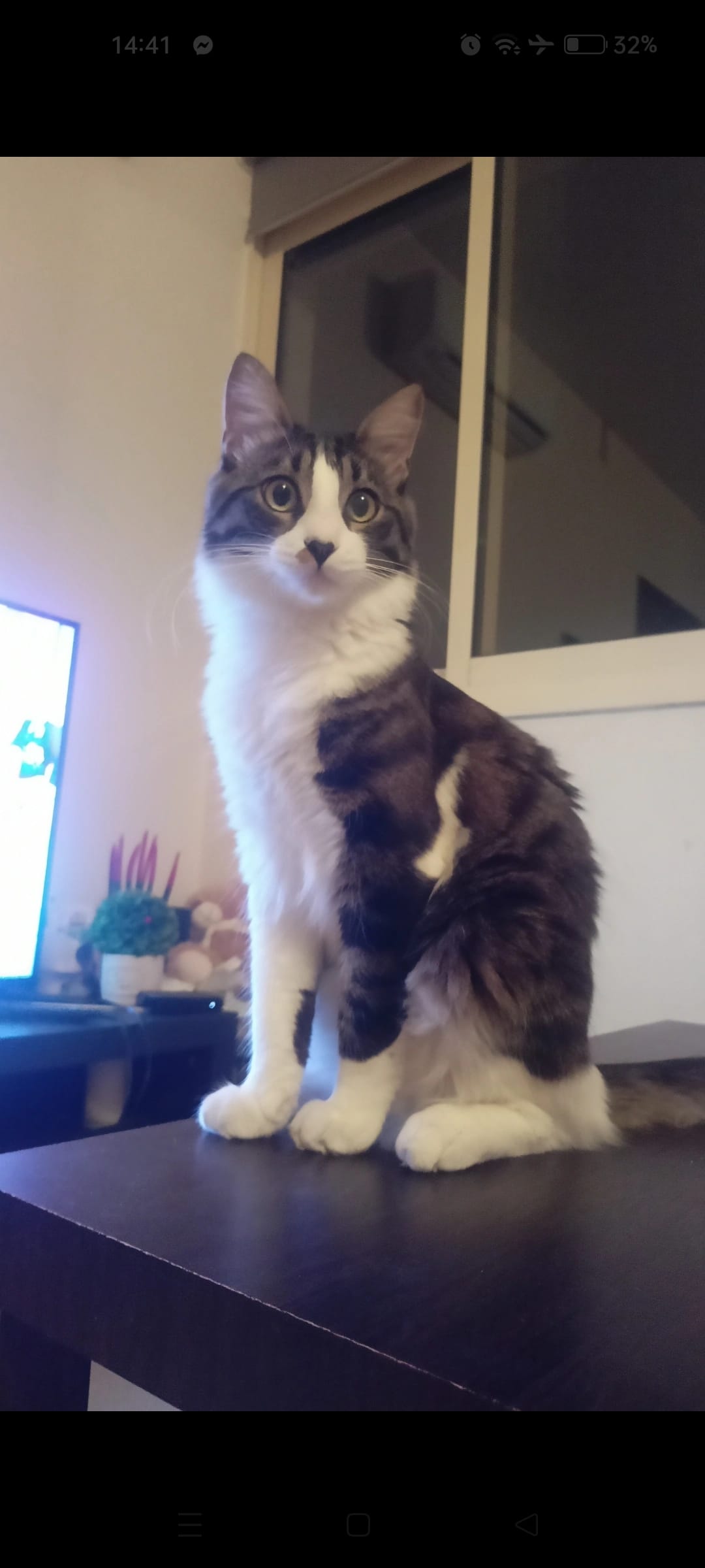 Screenshot_2023-09-23-14-41-24-18_99c04817c0de5652397fc8b56c3b3817