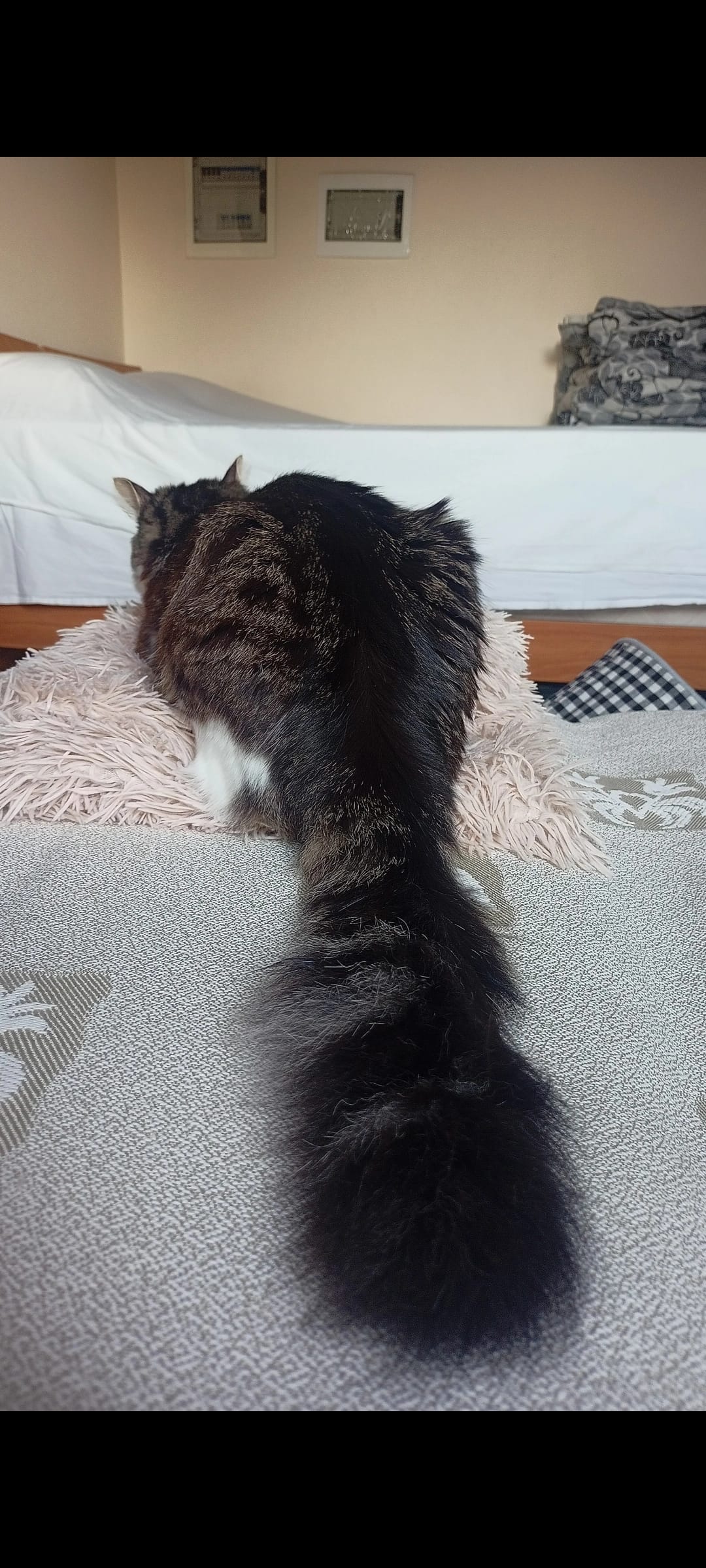 Screenshot_2023-09-23-14-41-27-77_99c04817c0de5652397fc8b56c3b3817