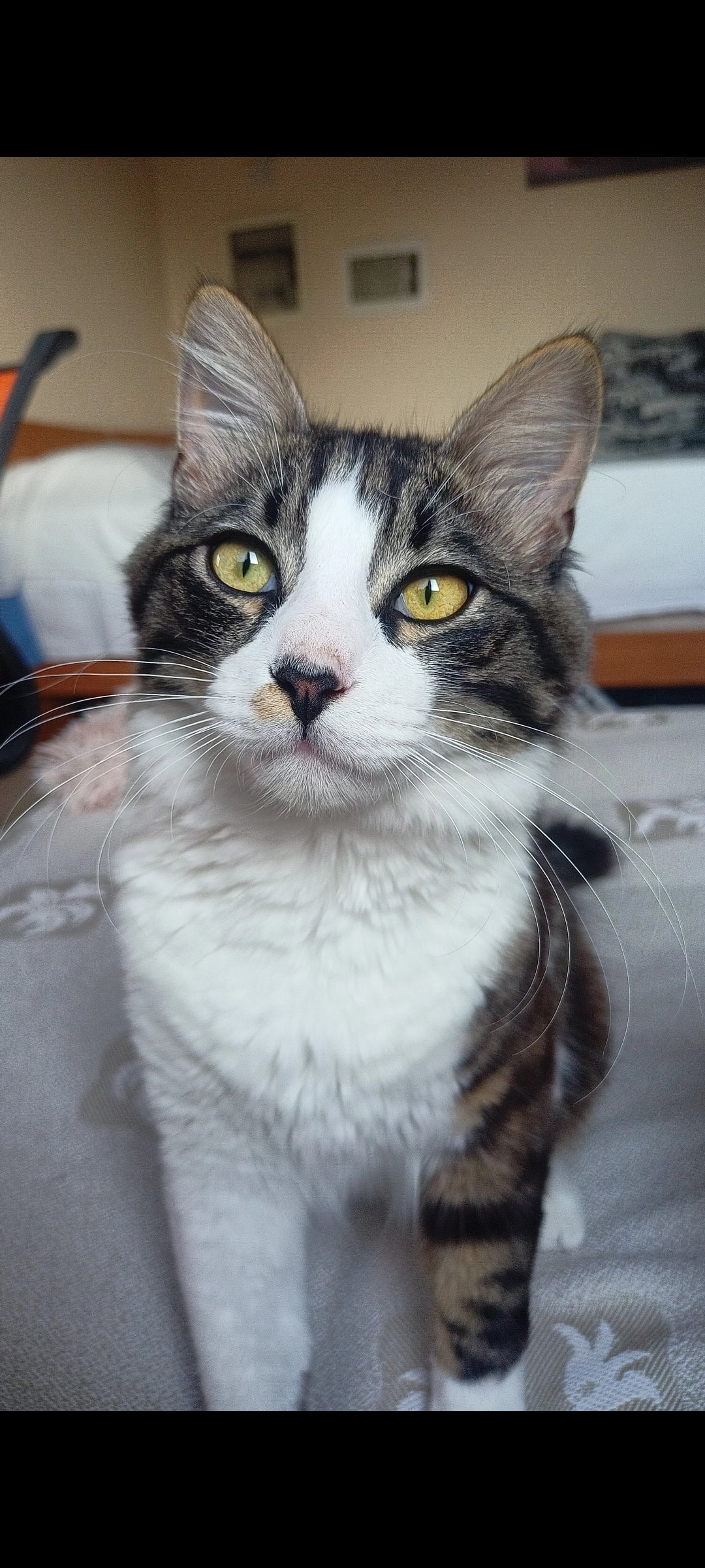 Screenshot_2023-09-23-14-41-30-41_99c04817c0de5652397fc8b56c3b3817