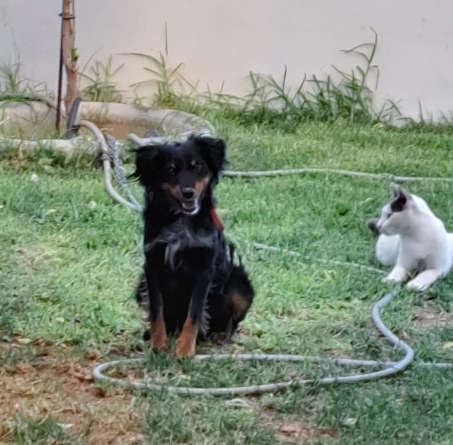 Screenshot_20230913_111857_Photos