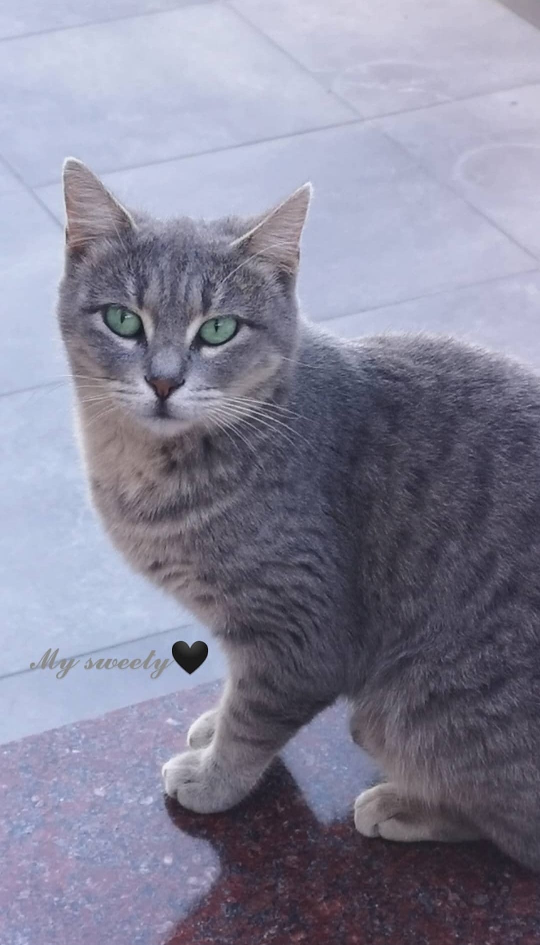 Screenshot_20230930_213610_Instagram