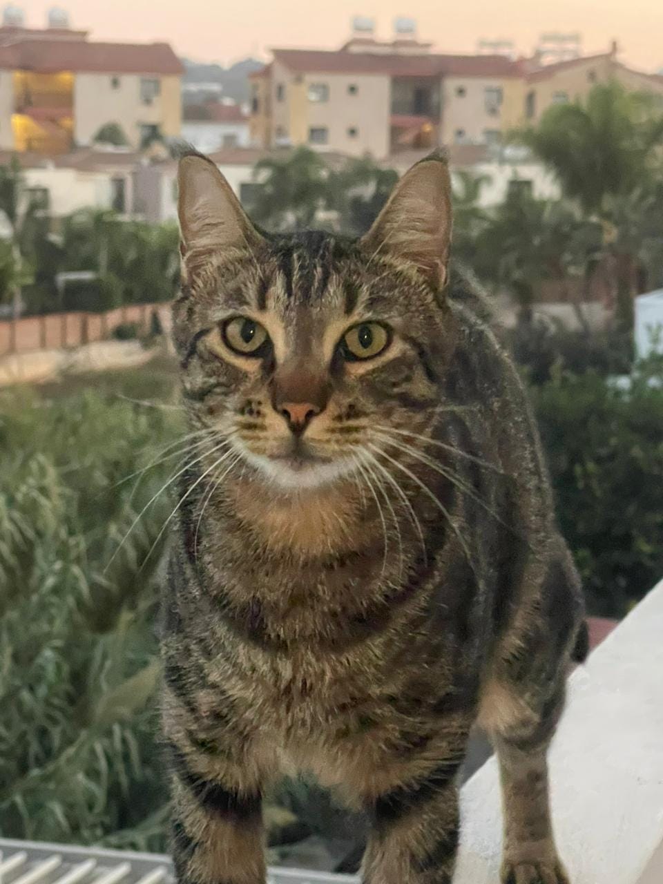 a1713cf2-a2a8-421b-bb6c-655fba15ec50