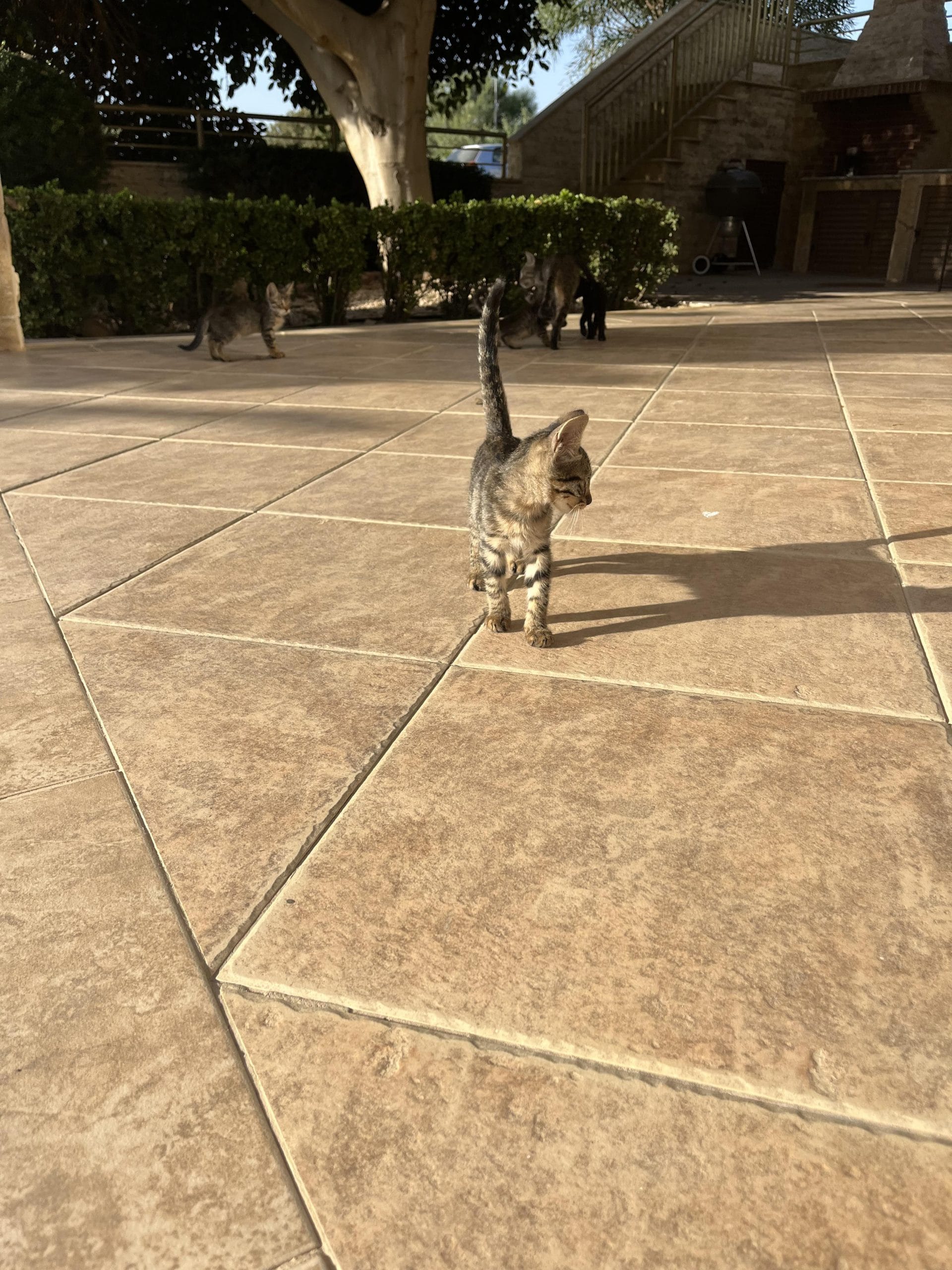 received_1356079675328100