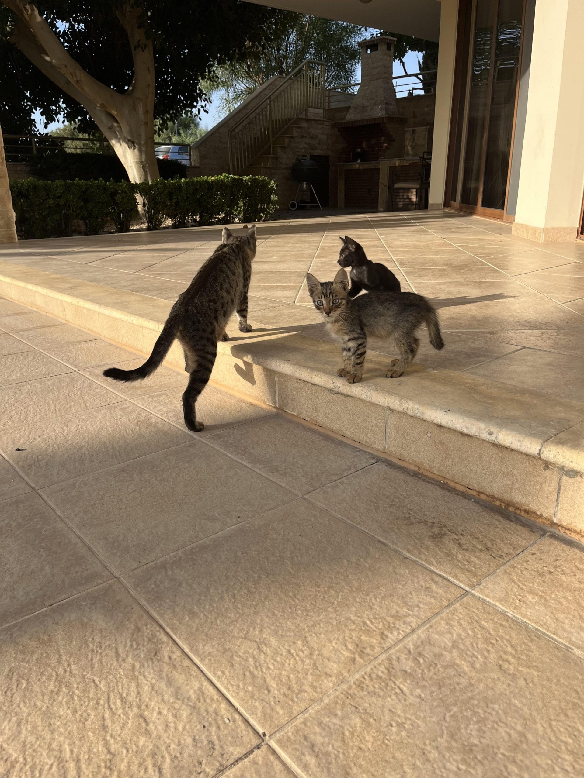 received_1760545167751147