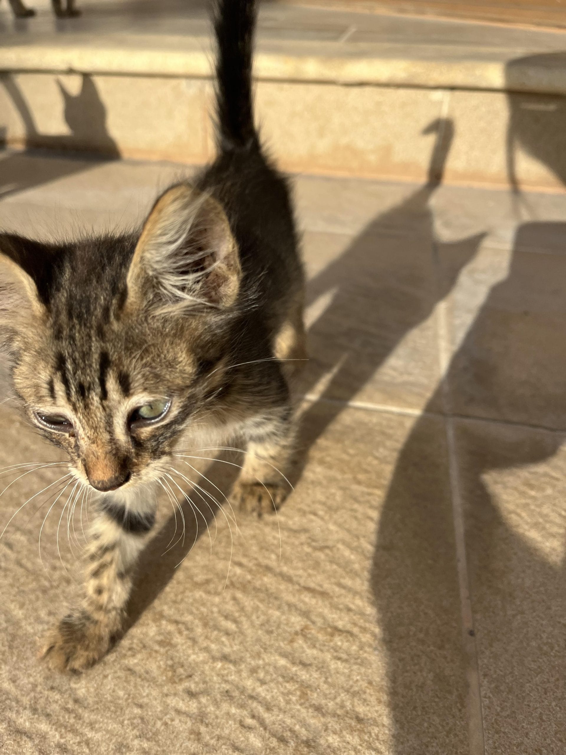 received_1988245961533389