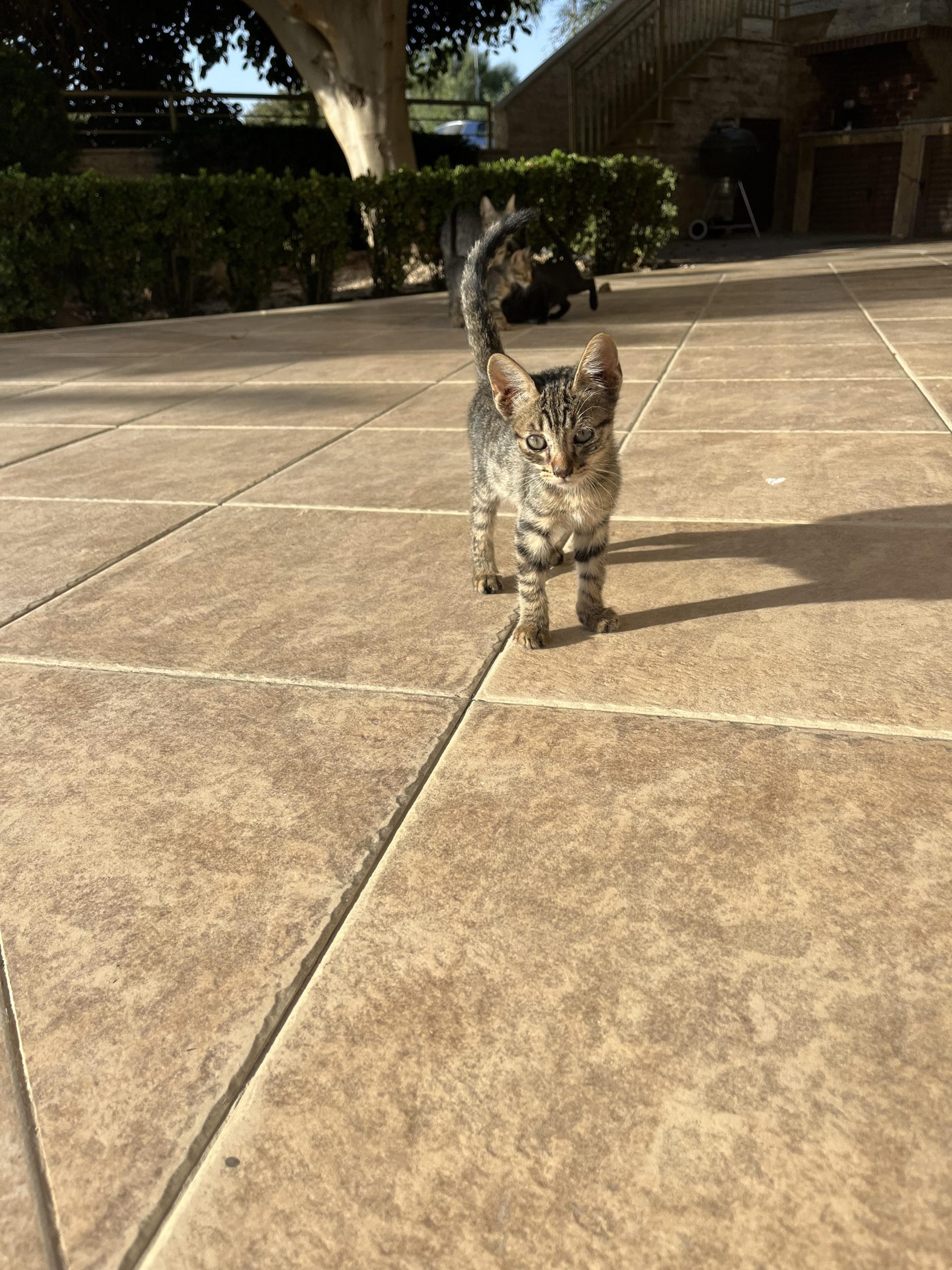 received_857276215576141