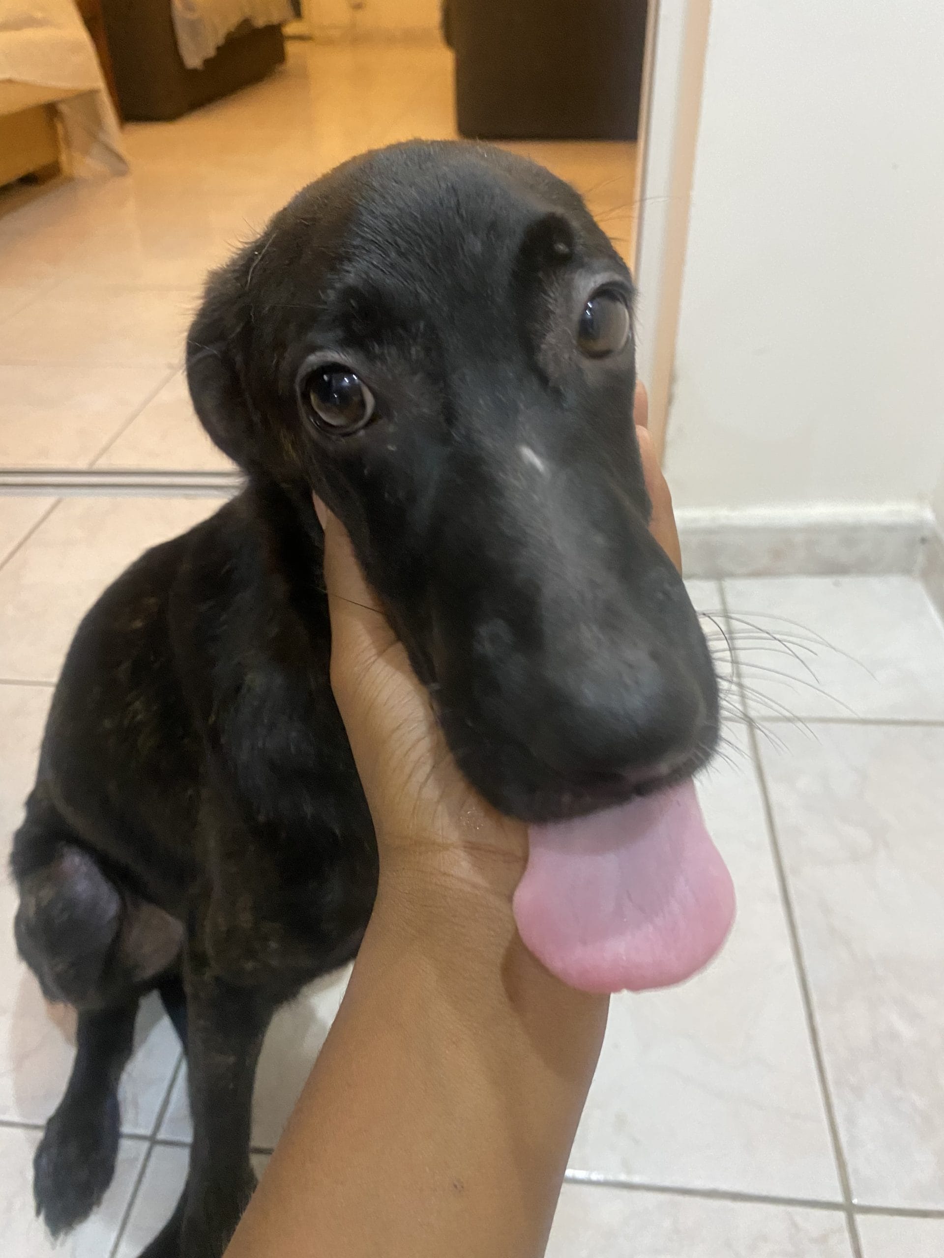 C3F01437-53C1-427D-A4D2-FD9DF4D02414