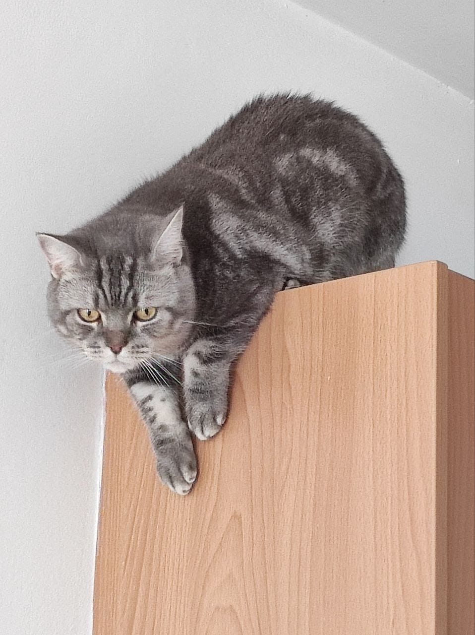 photo_2023-10-16_21-37-53