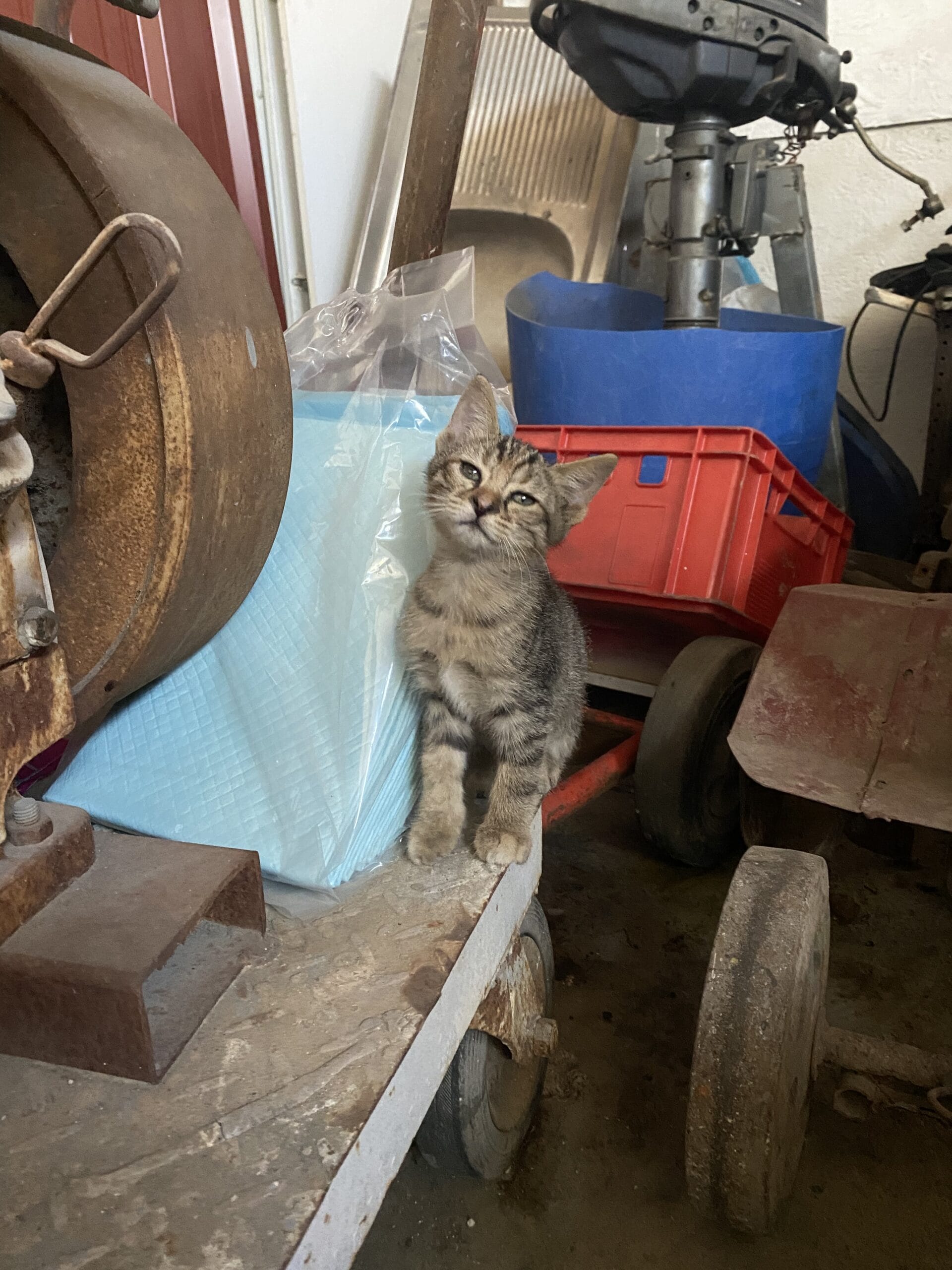 20856A93-608E-443B-B414-CAE326BF2574