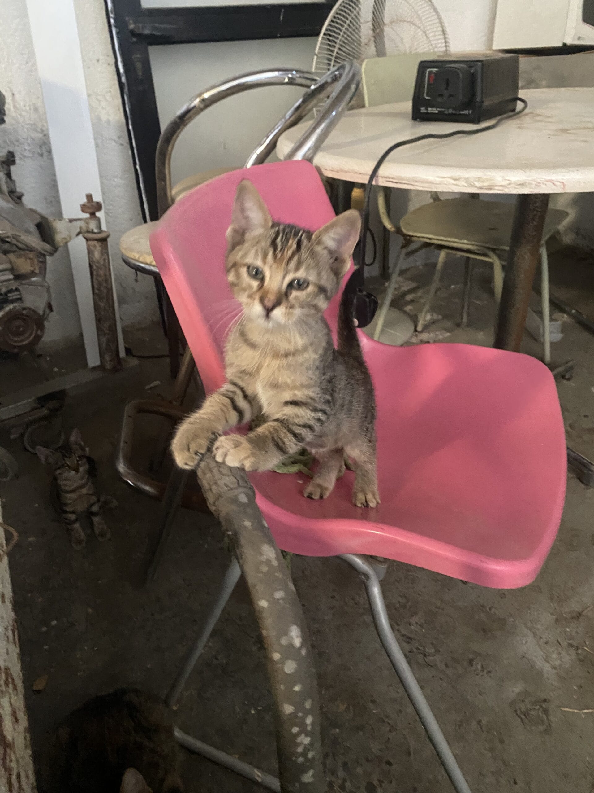 21276771-E02C-489D-9E10-CCE6AF7E0455