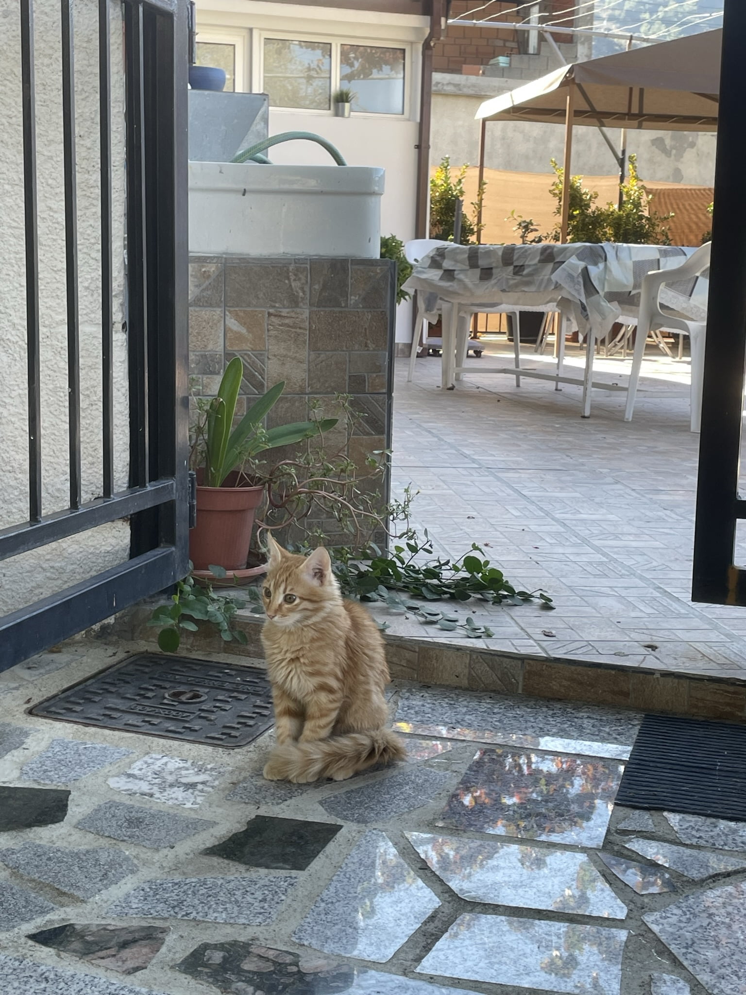 3243C855-42F1-4B35-8DC3-50371D908FC4