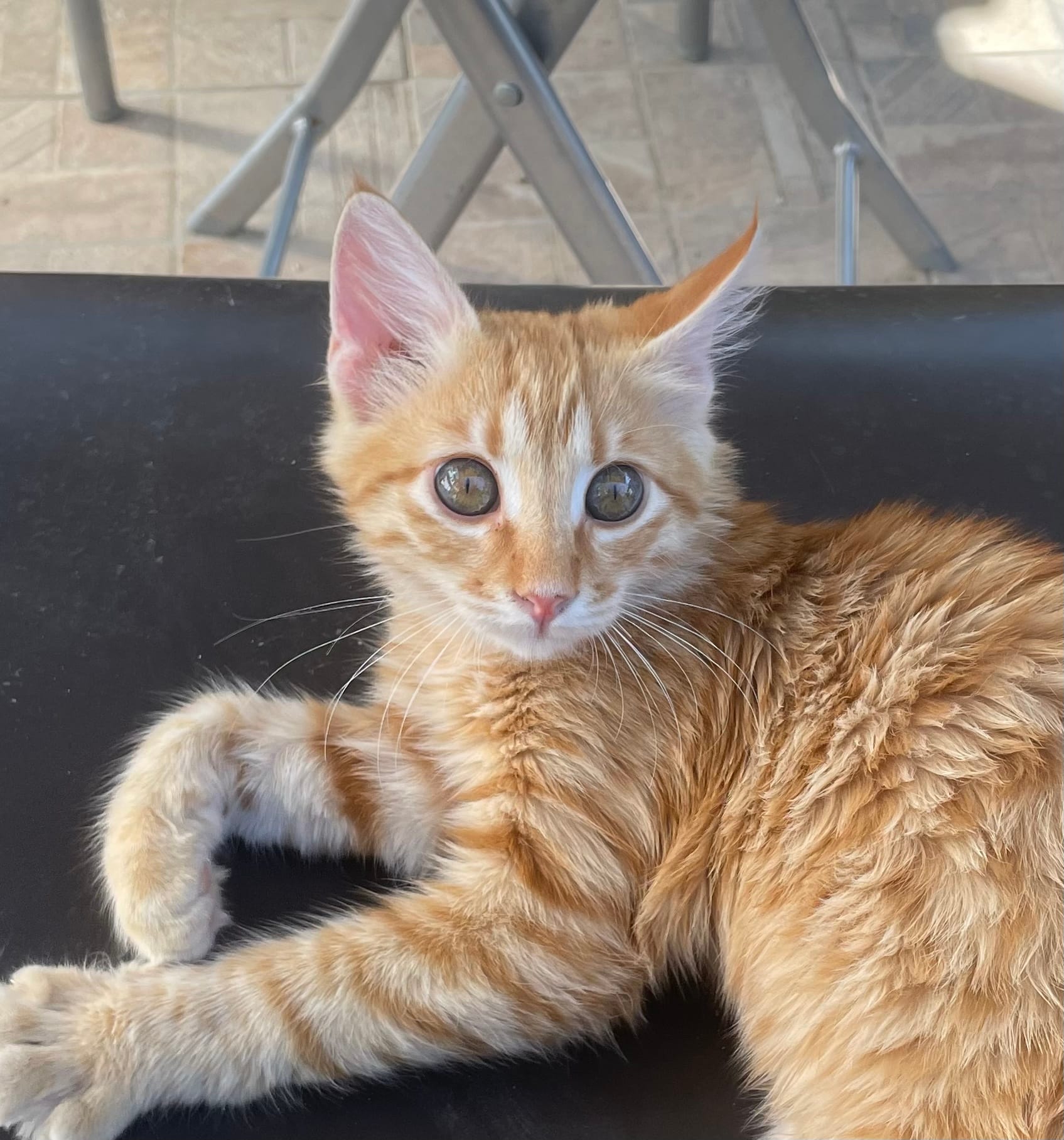 335AFCE1-F1E6-4778-8D83-9AD6CA130148