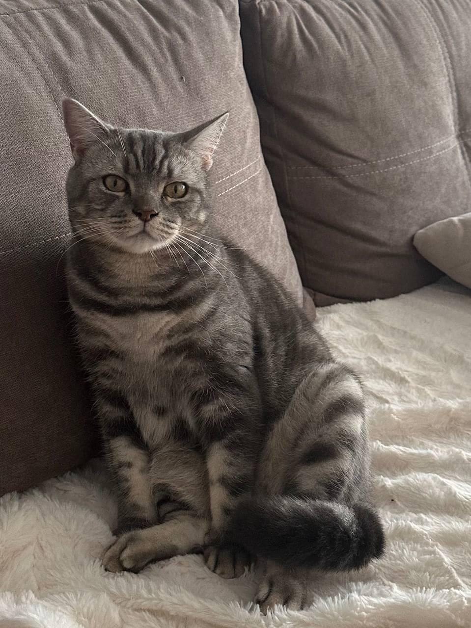 404267895_24444034308543595_2547855847581380103_n