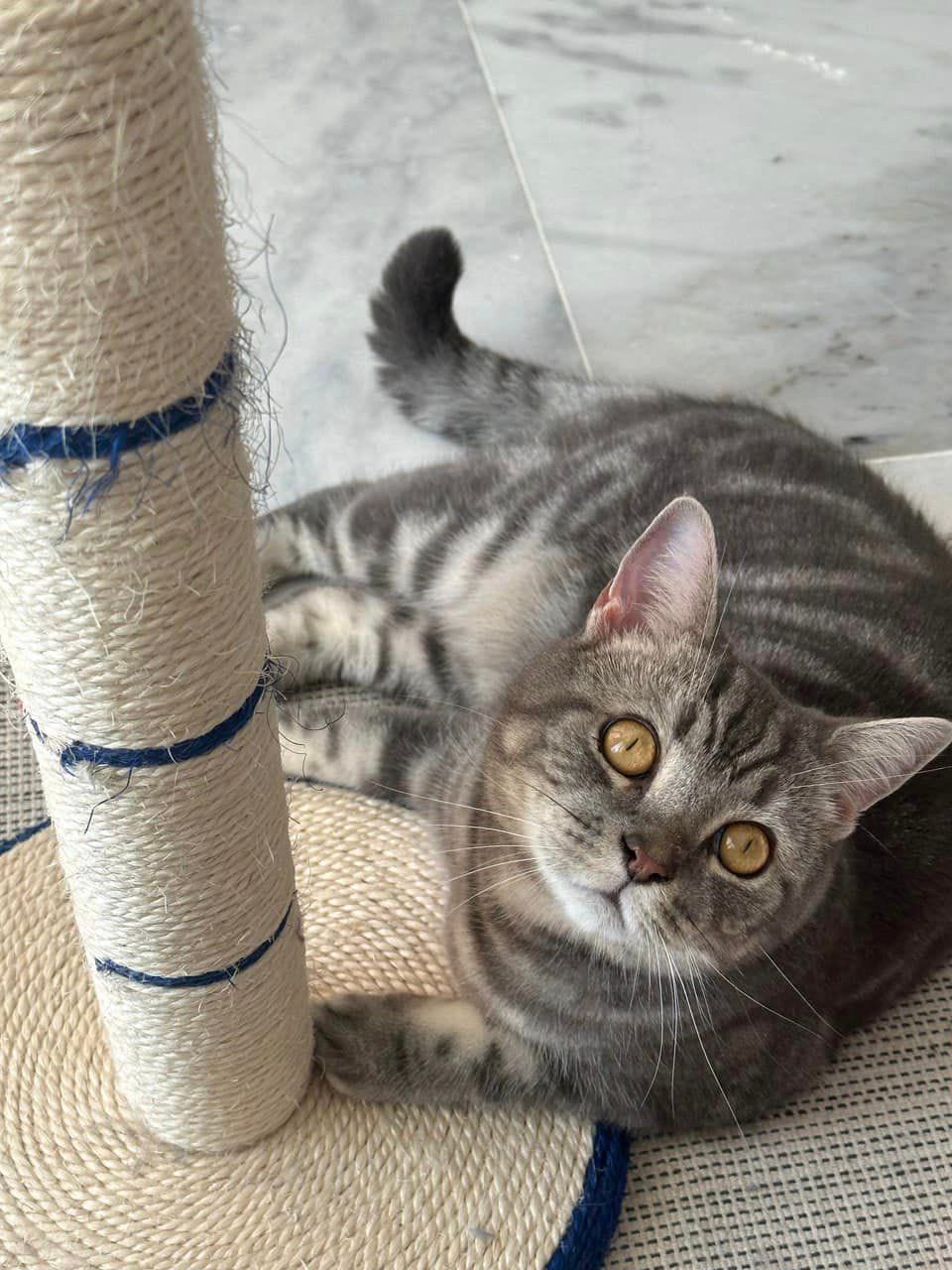 404387985_24444034495210243_3937277622068006538_n