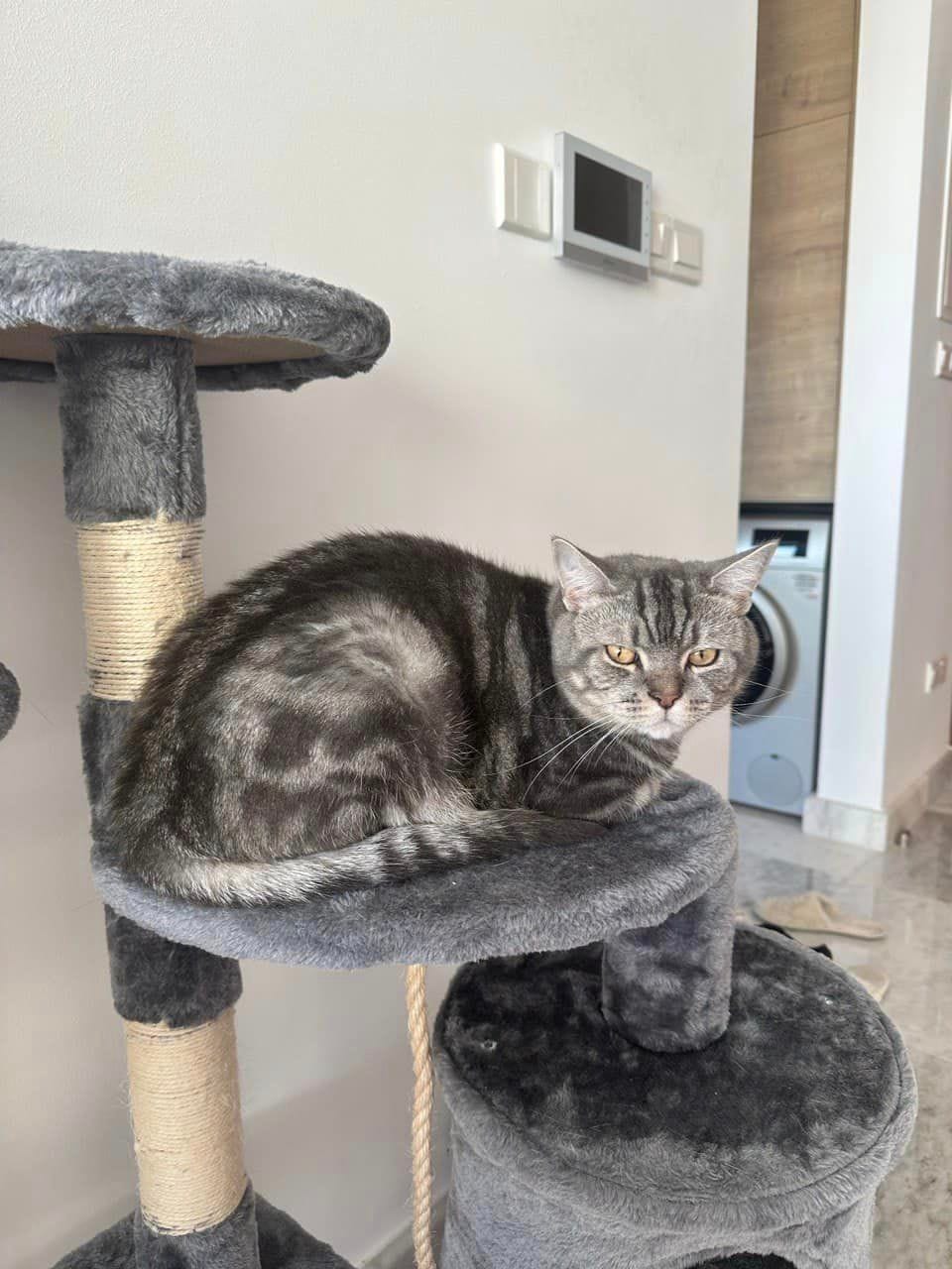 404390686_24444034341876925_7821964370005131895_n