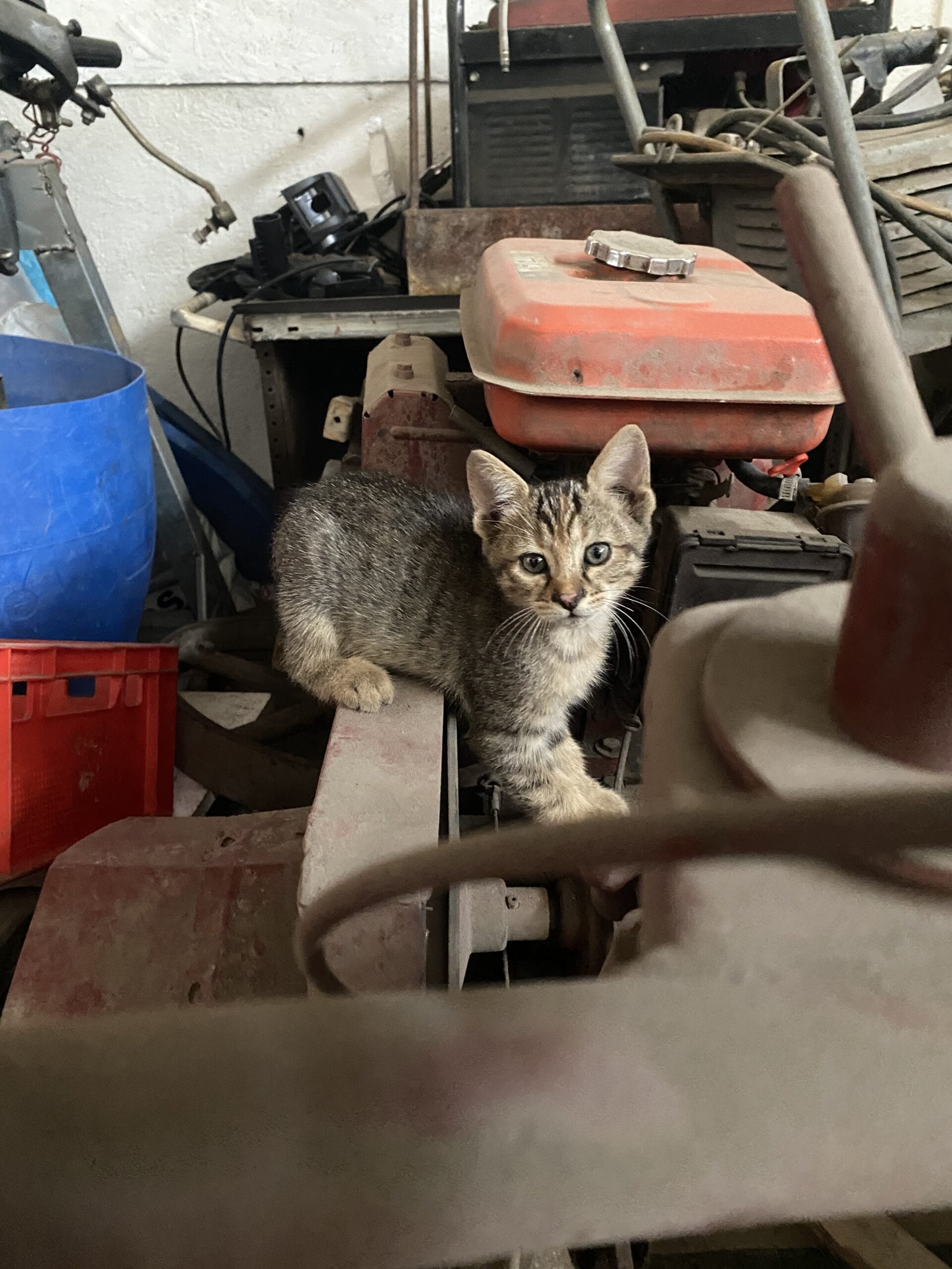 52FBD404-BBA7-496D-B43B-C03E5B055863