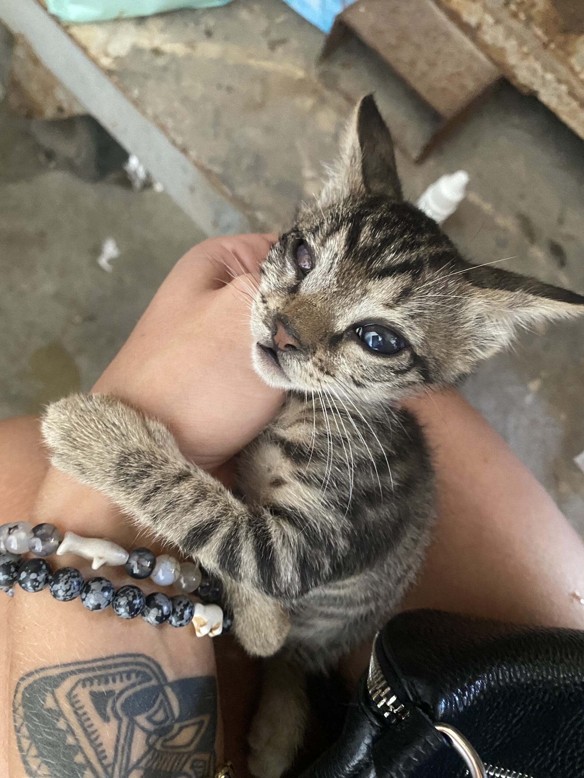 5D50F342-DF48-4277-995A-F6943B37C549