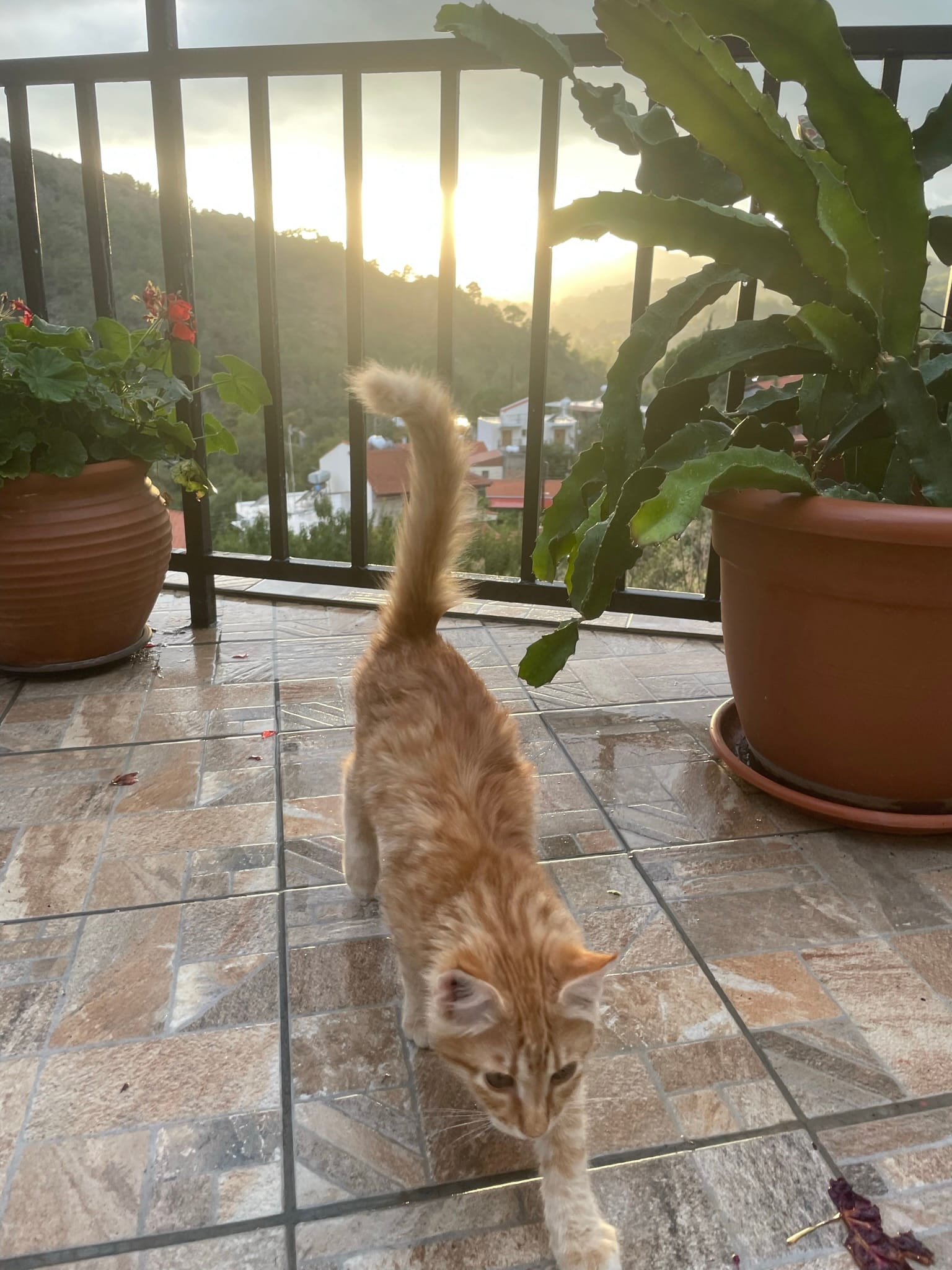 652E7248-F7A4-4ED4-9F1C-035F2810EB57