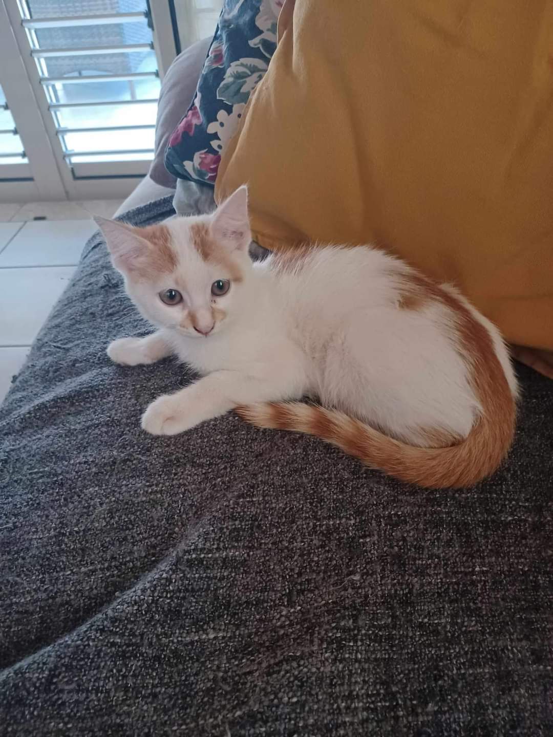 FB_IMG_1699215213738