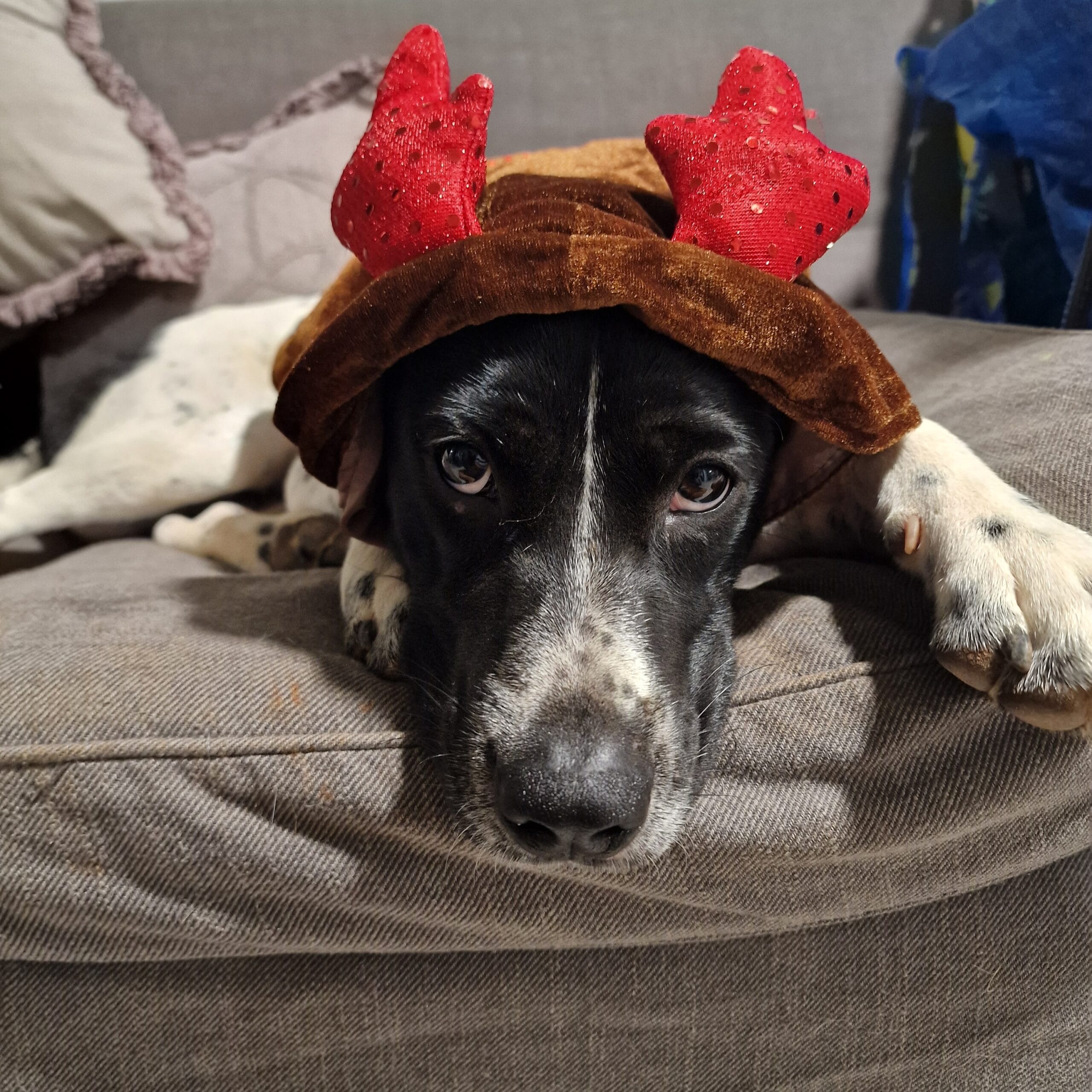 IMG_20231105_183657_277