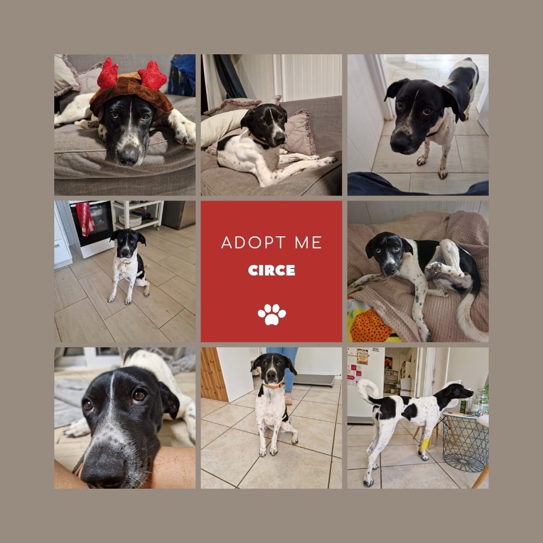 IMG_20231107_171806_536